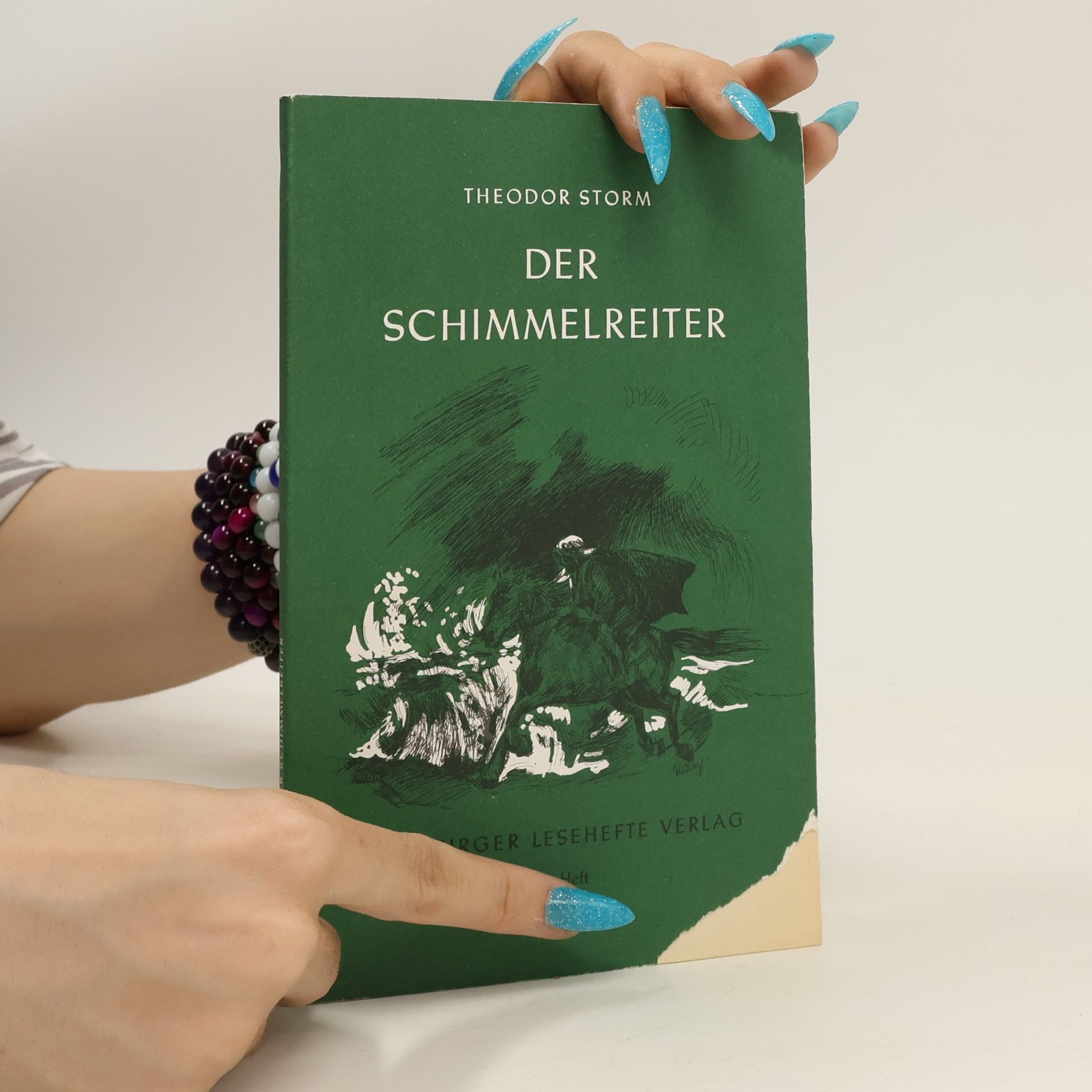 Theodor Storm Der Schimmelreiter