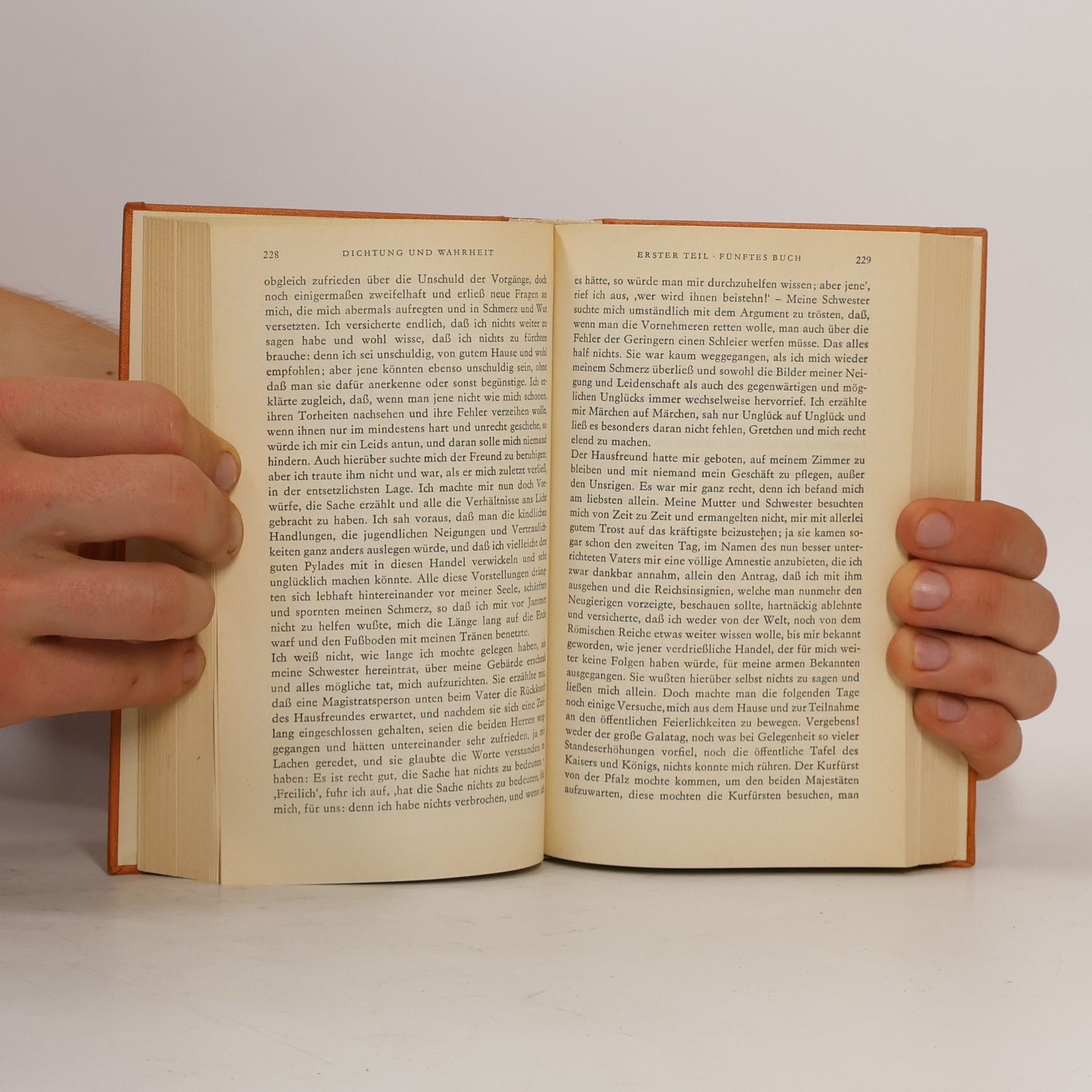 Johann Wolfgang von Goethe Goethes Werke 1