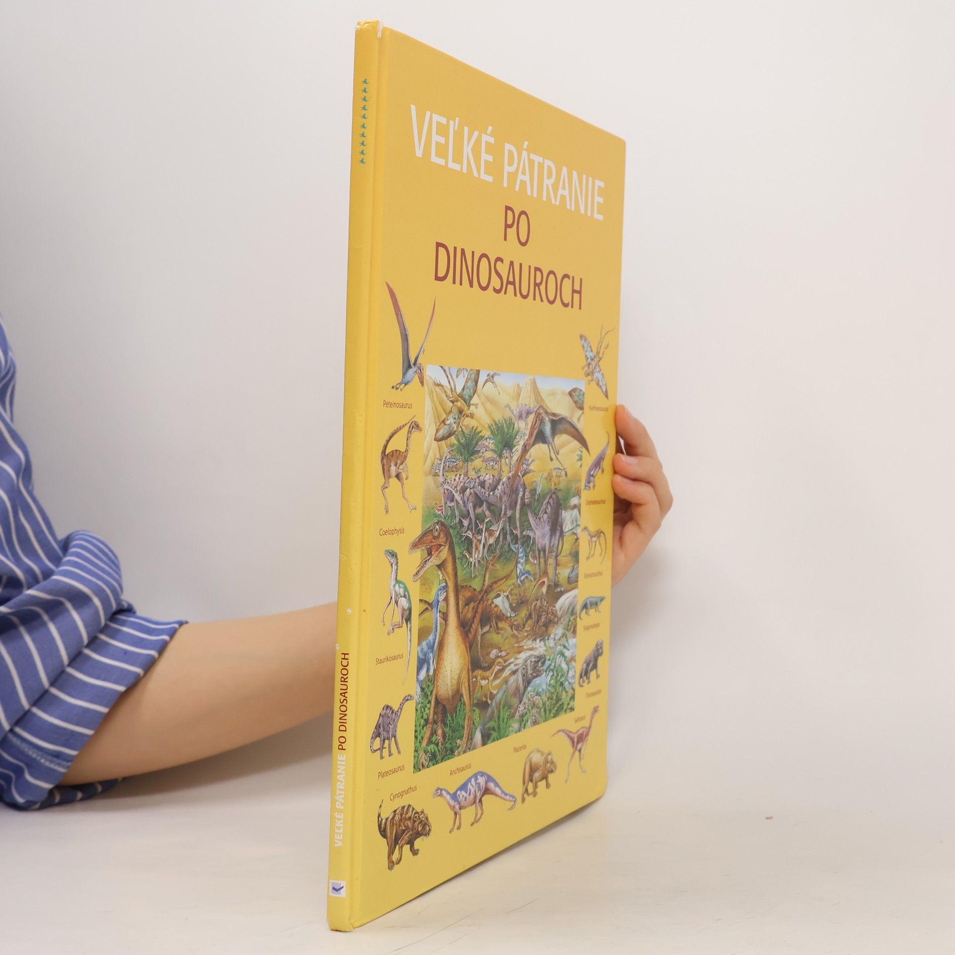 Rosie Heywood Veľké pátranie po dinosauroch