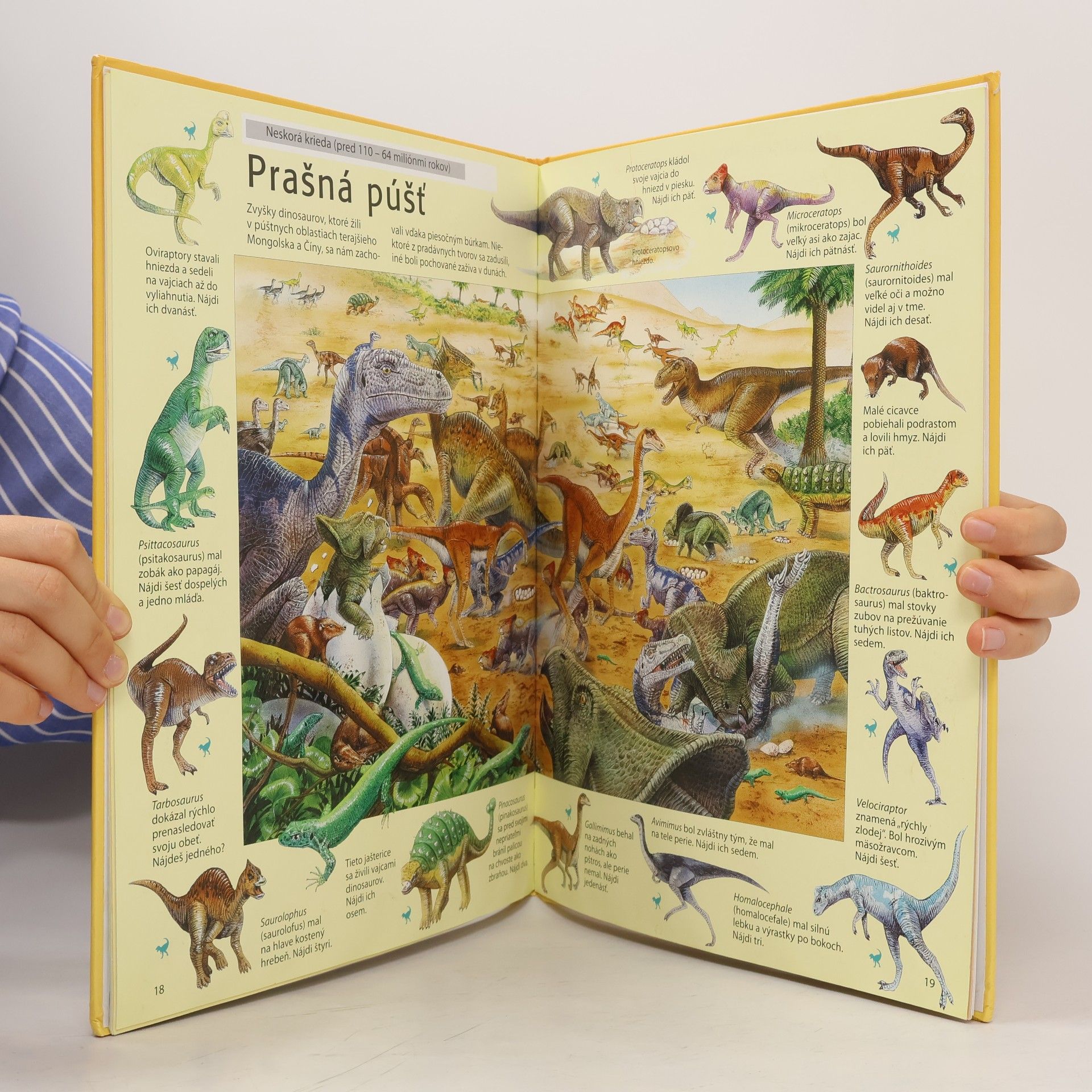 Rosie Heywood Veľké pátranie po dinosauroch