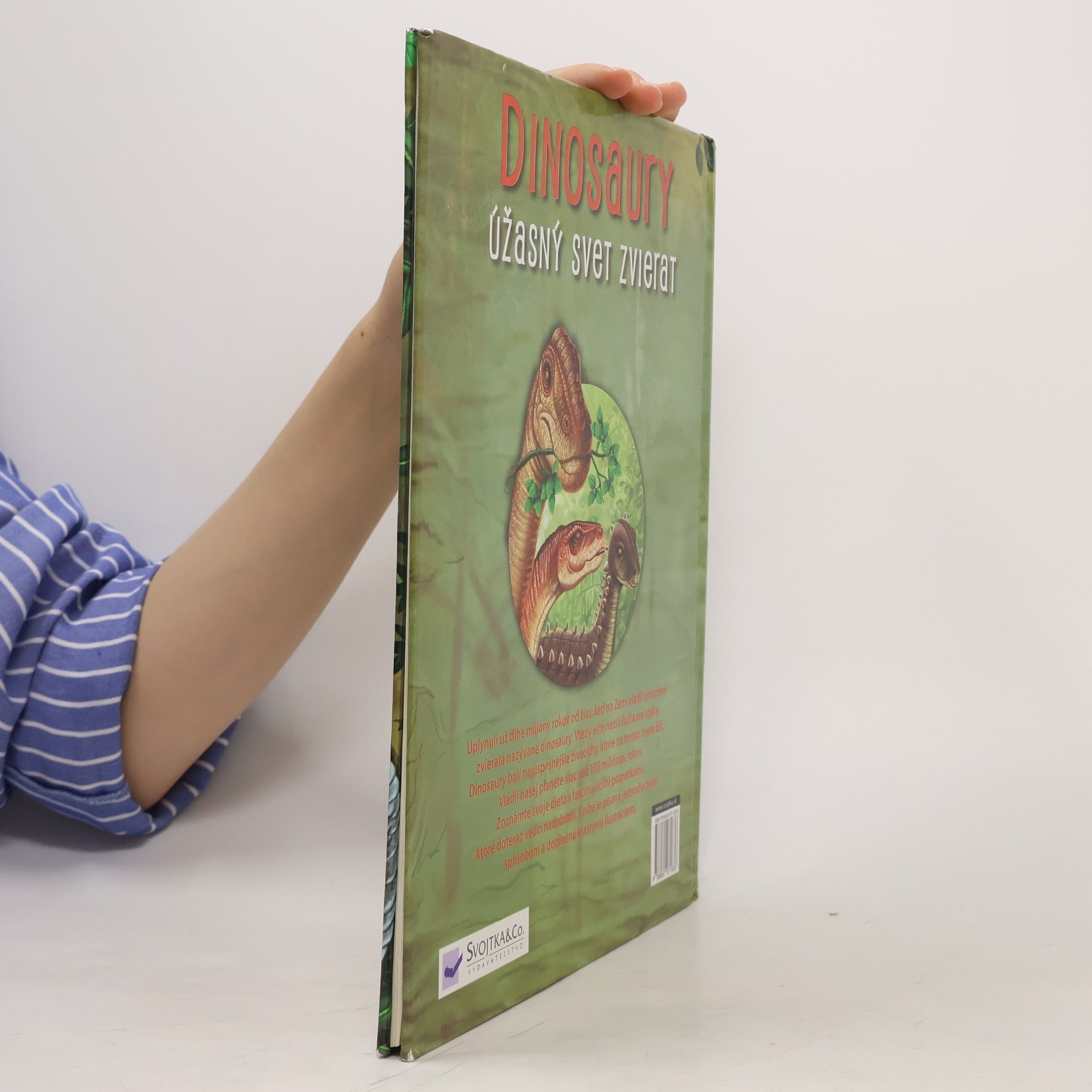 AA.VV. Dinosaury úžasný svet zvierat