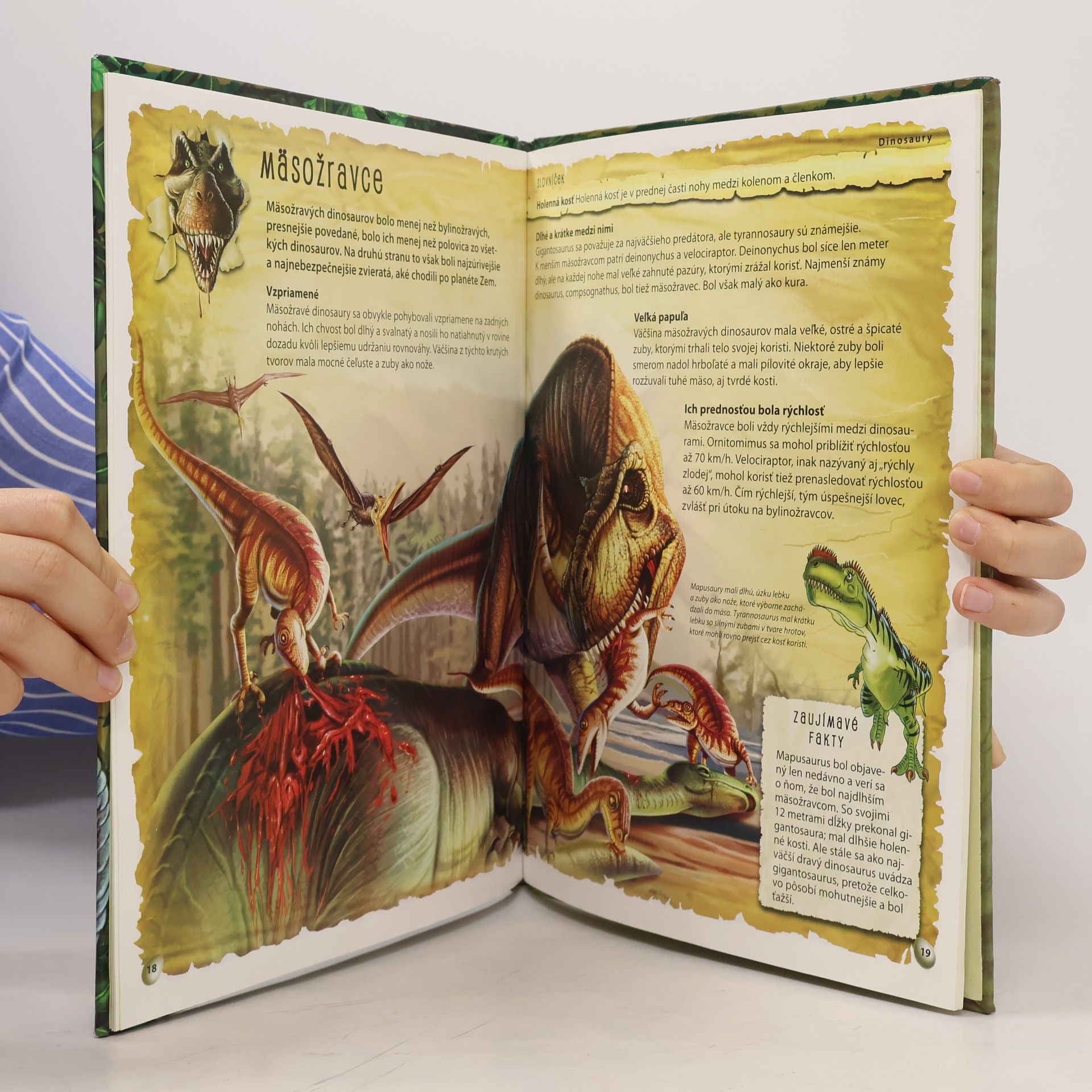 AA.VV. Dinosaury úžasný svet zvierat
