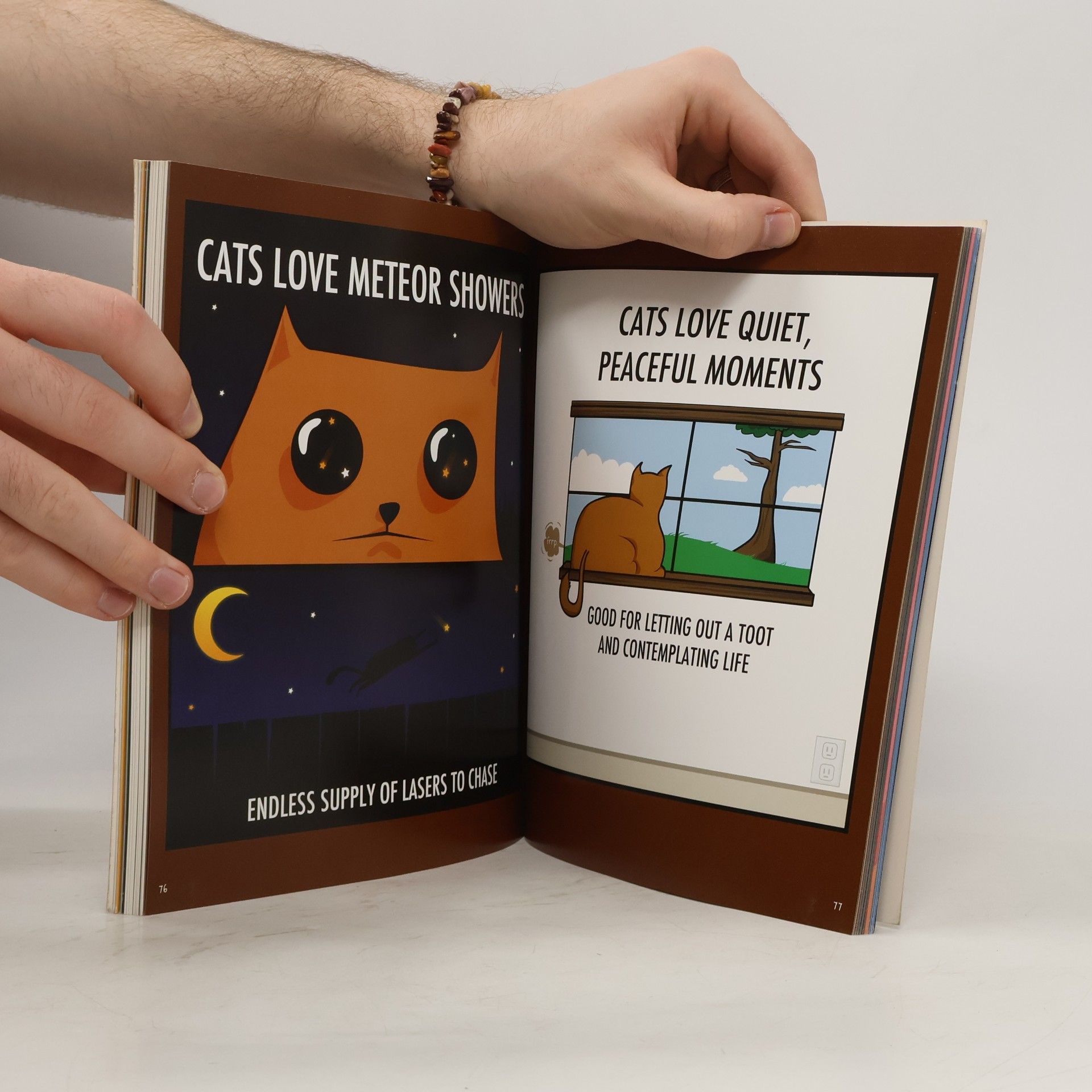 The Oatmeal How to tell if your cat is plotting to kill you