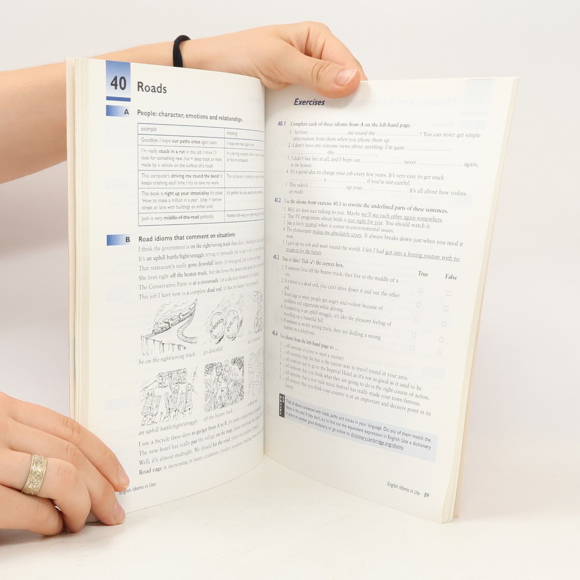 Michael McCarthy English idioms in use