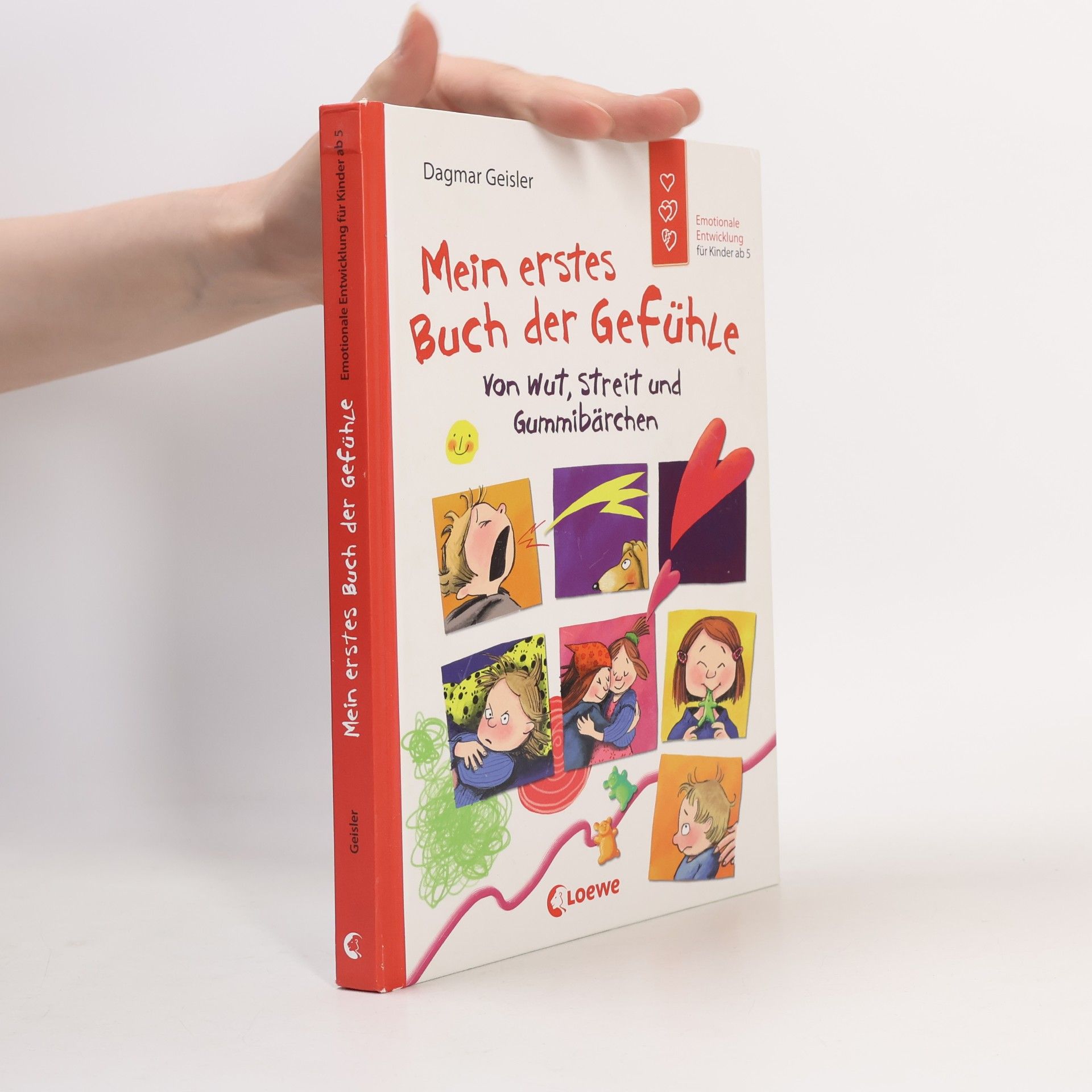 Dagmar Geisler Mein erstes Buch der Gefühle - Von Wut, Streit und Gummibärchen