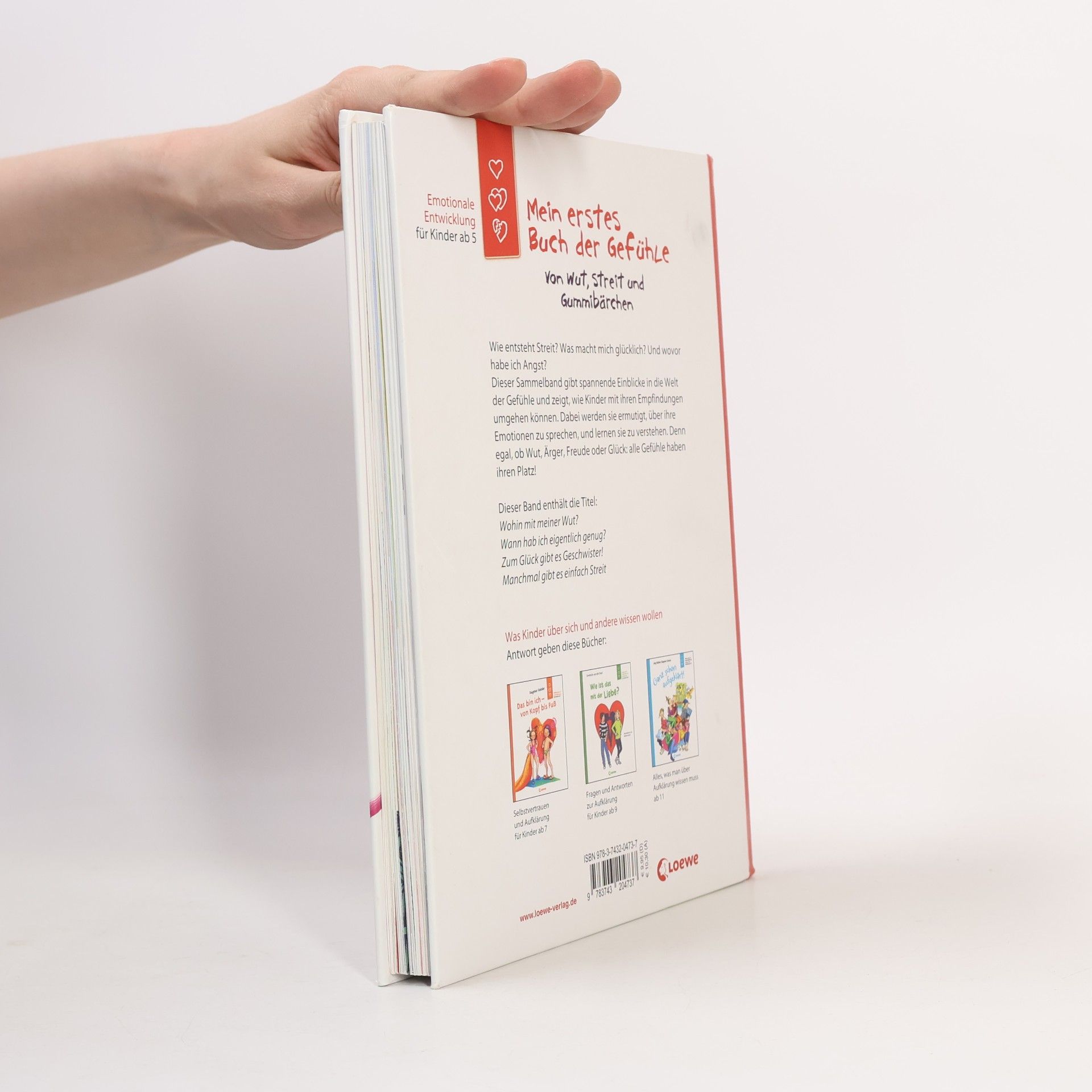Dagmar Geisler Mein erstes Buch der Gefühle - Von Wut, Streit und Gummibärchen