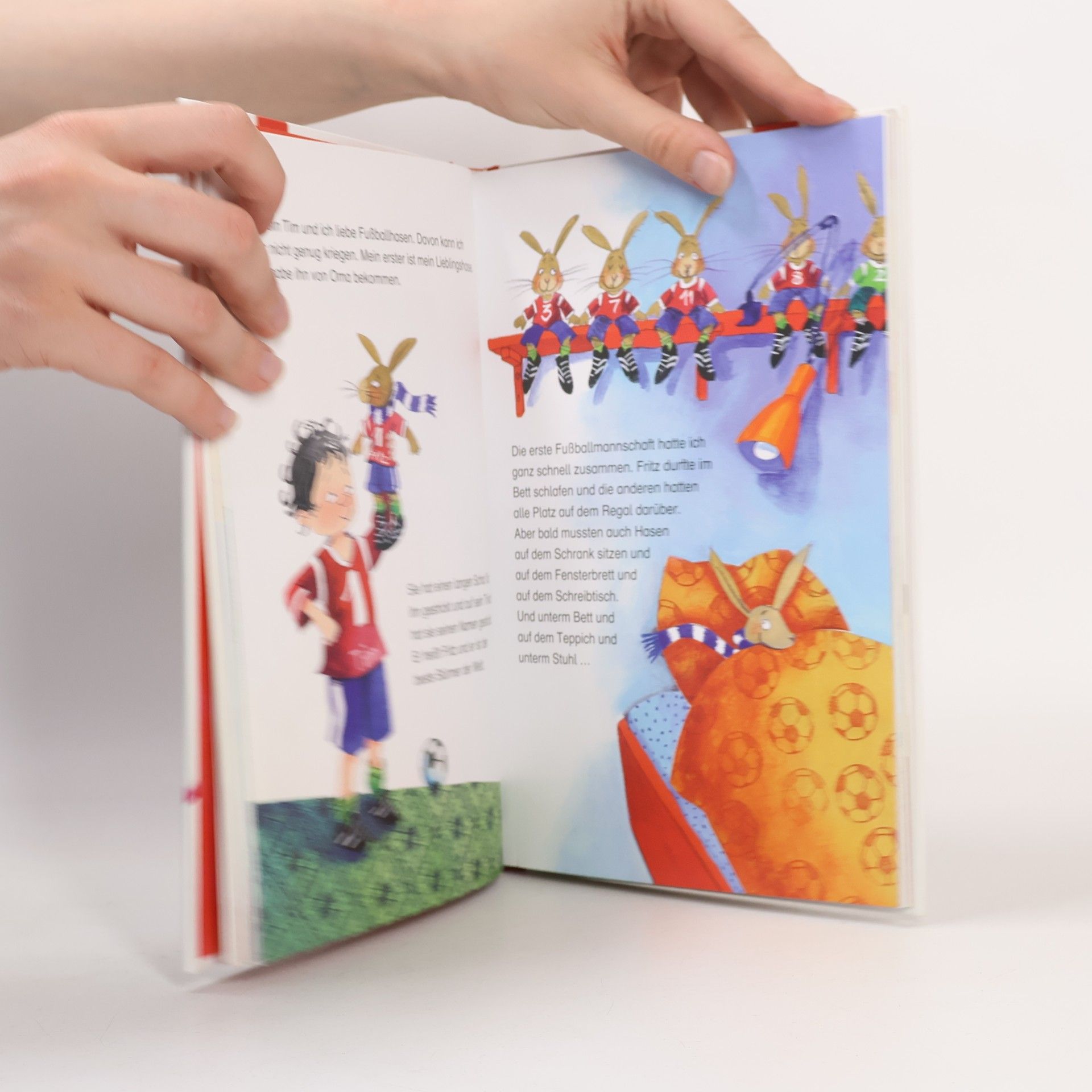 Dagmar Geisler Mein erstes Buch der Gefühle - Von Wut, Streit und Gummibärchen