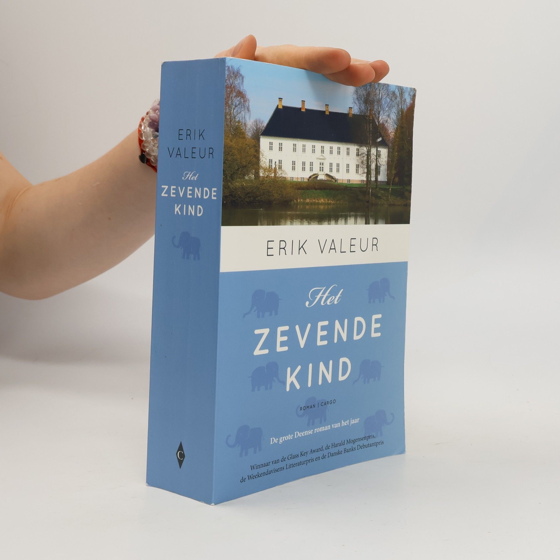 Erik Valeur Het zevende kind