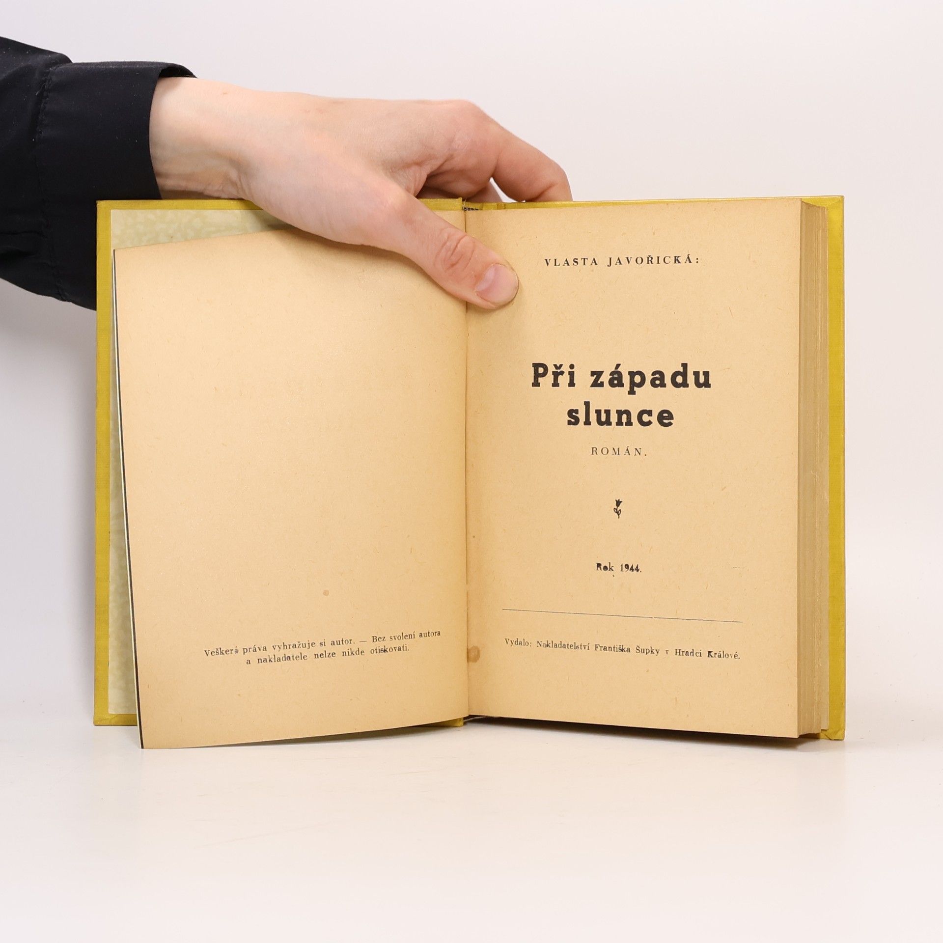 Vlasta Javořická Při západu slunce
