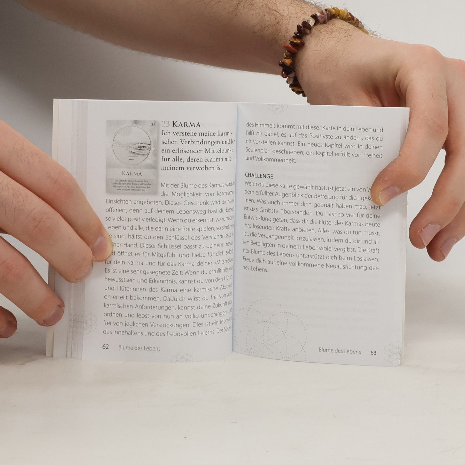 Barbara Heider-Rauter Blume des Lebens: 50 Karten mit Begleitbuch