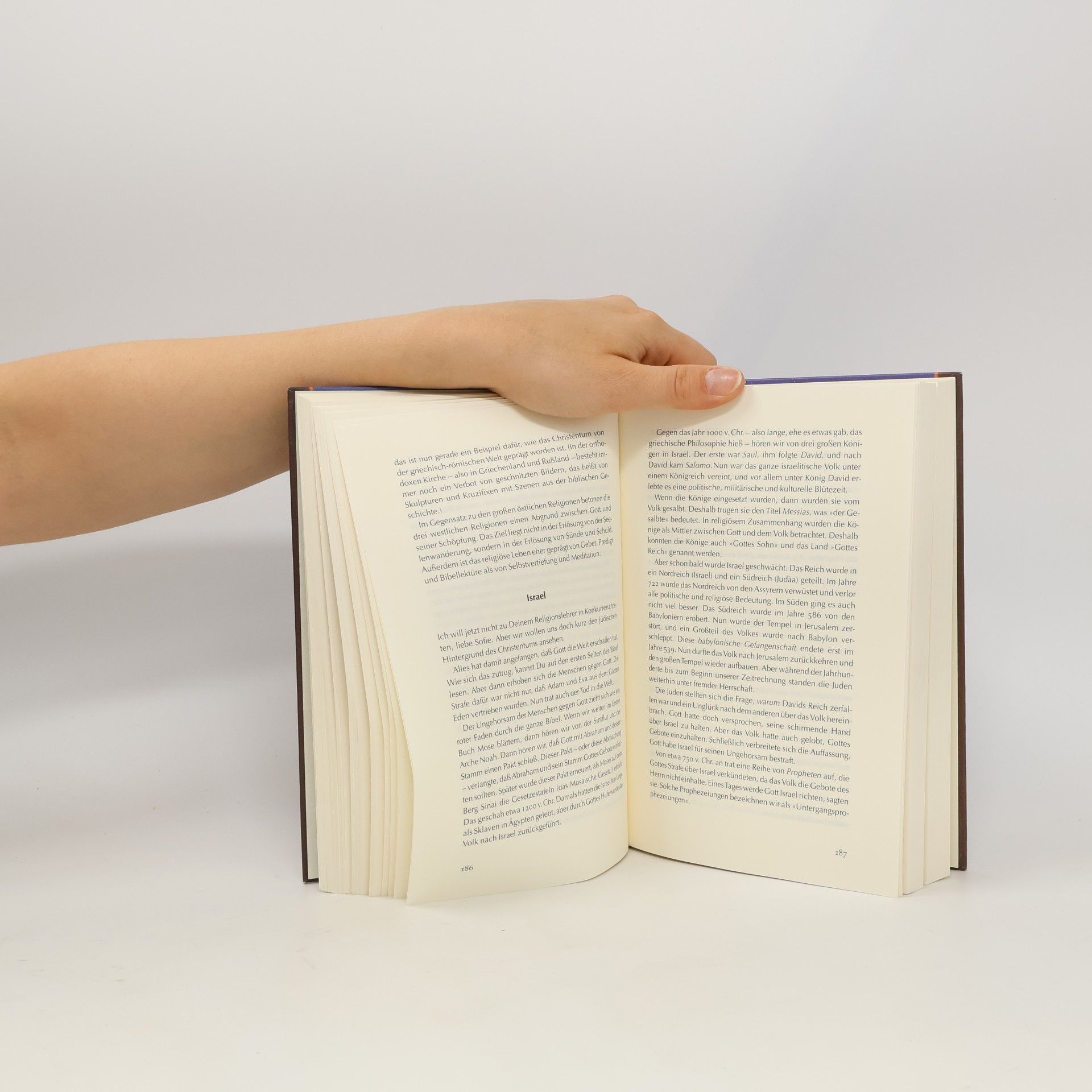 Jostein Gaarder Sofies Welt