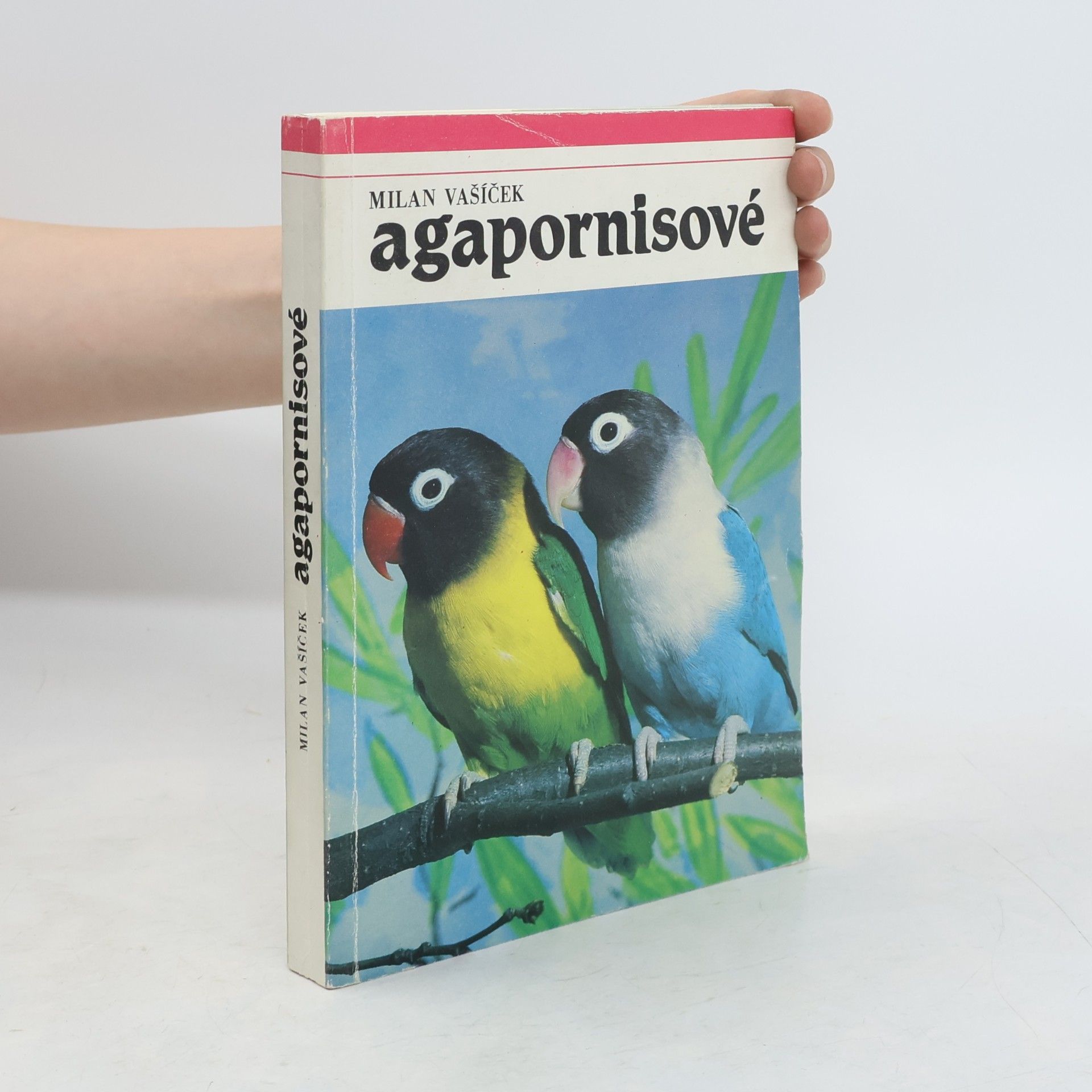 Rudolf Vít Agapornisové