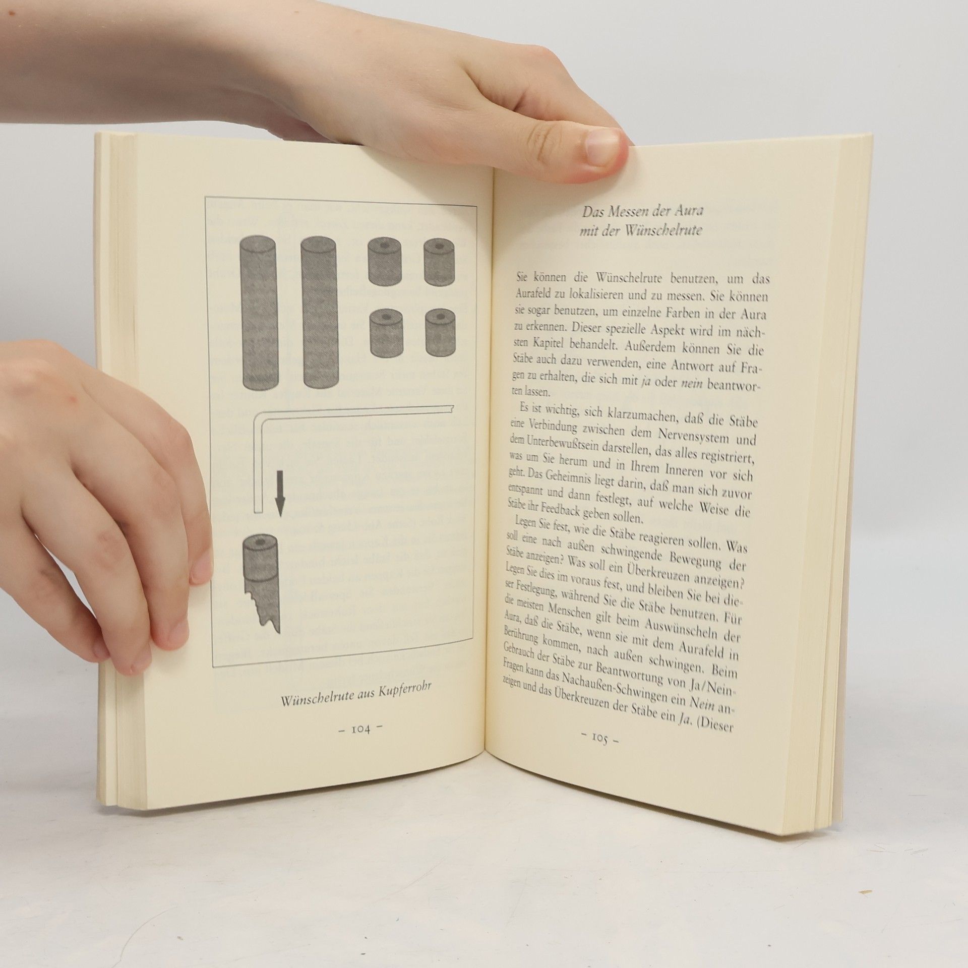 Ted Andrews Die Aura sehen und lesen