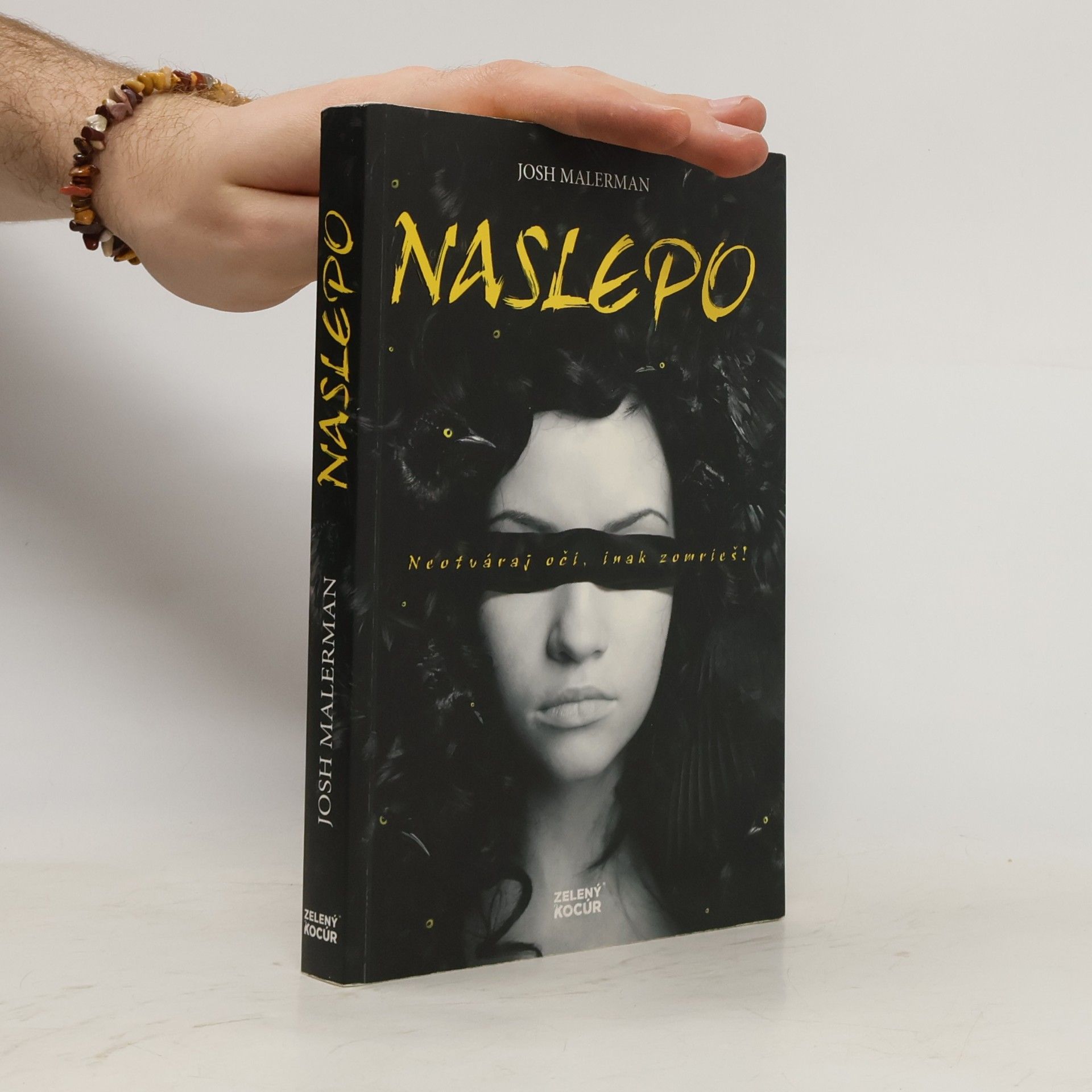 Josh Malerman Naslepo