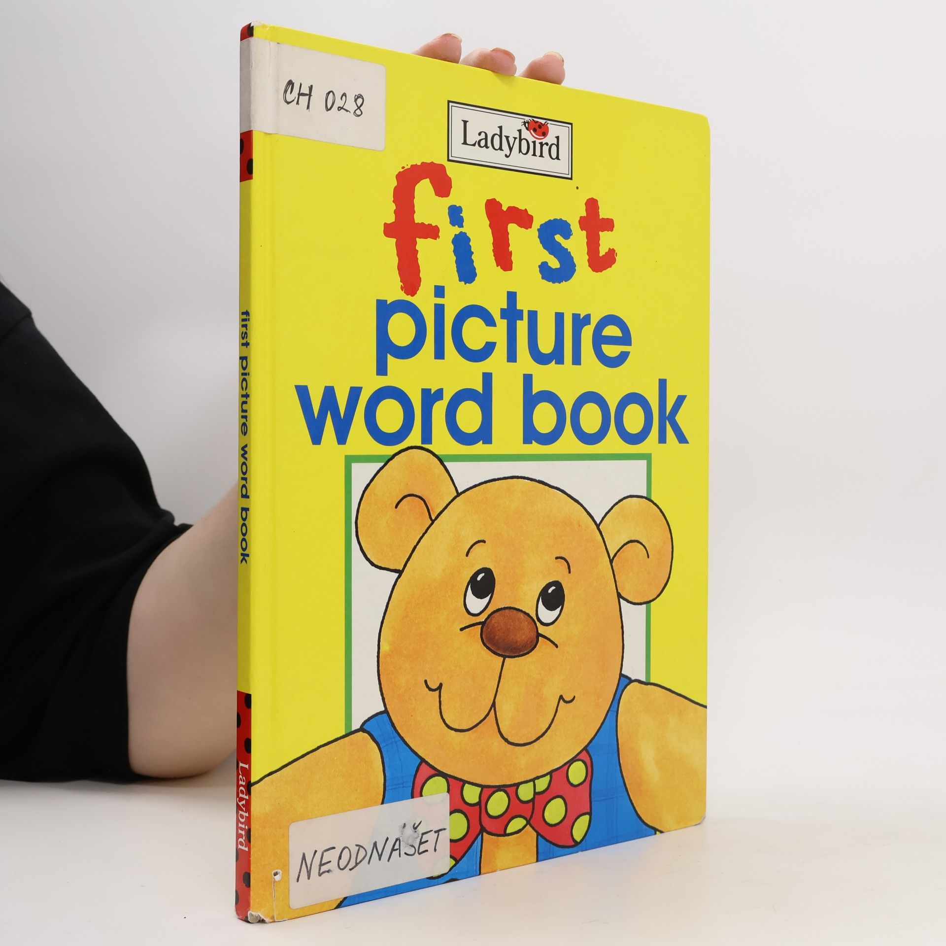 LADYBIRD BOOKS First Picture Word Book