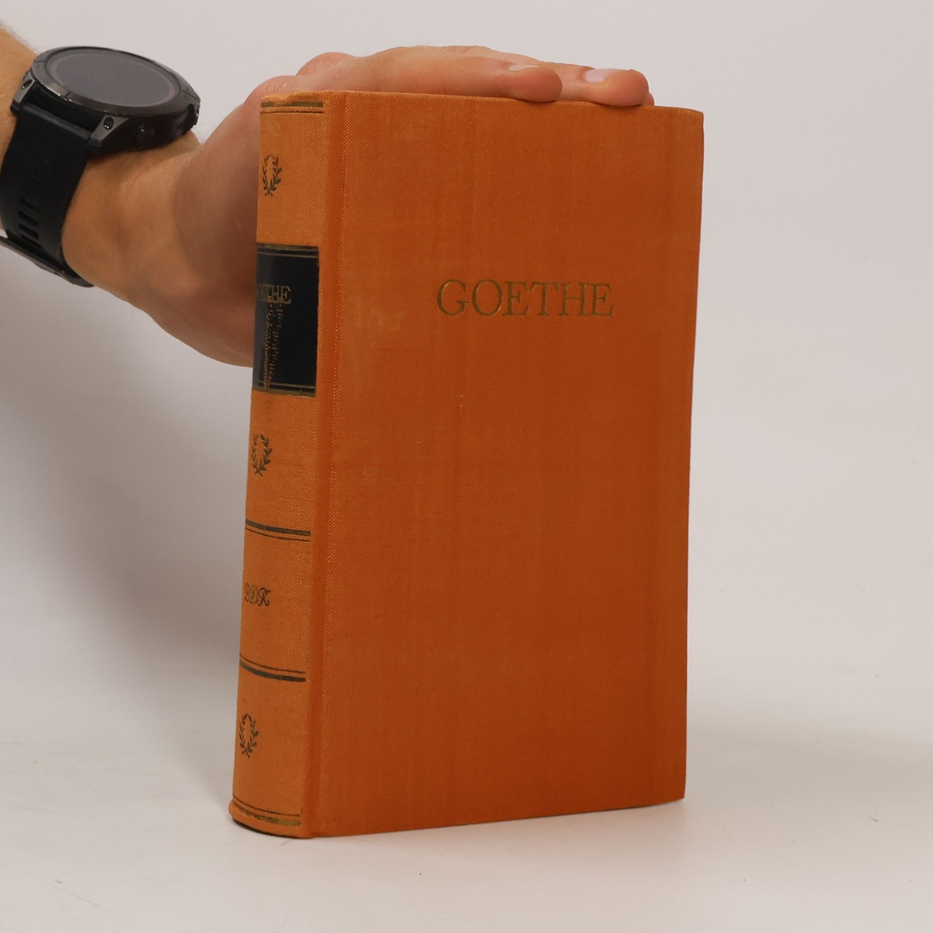 Johann Wolfgang von Goethe Goethes Werke 6