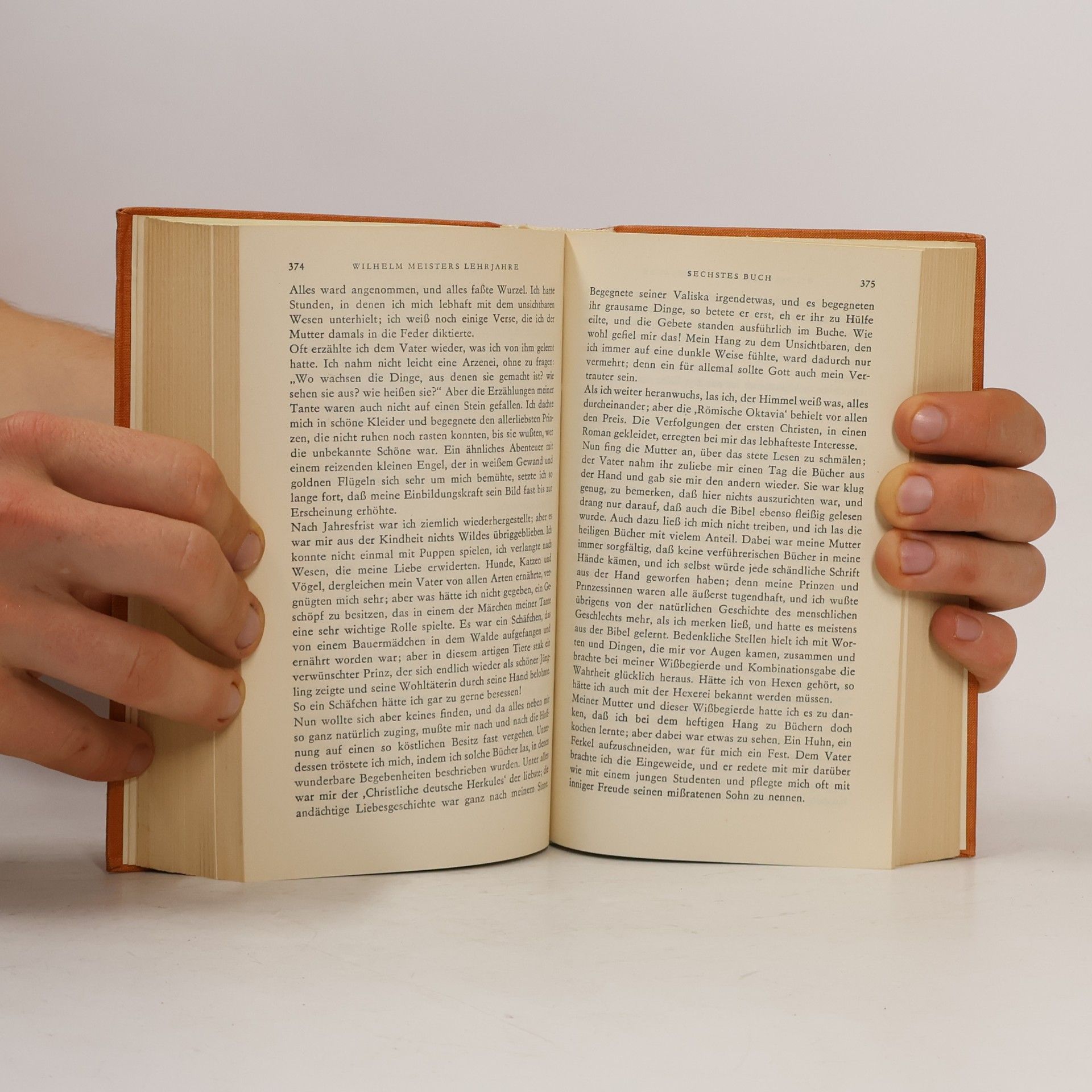 Johann Wolfgang von Goethe Goethes Werke 6