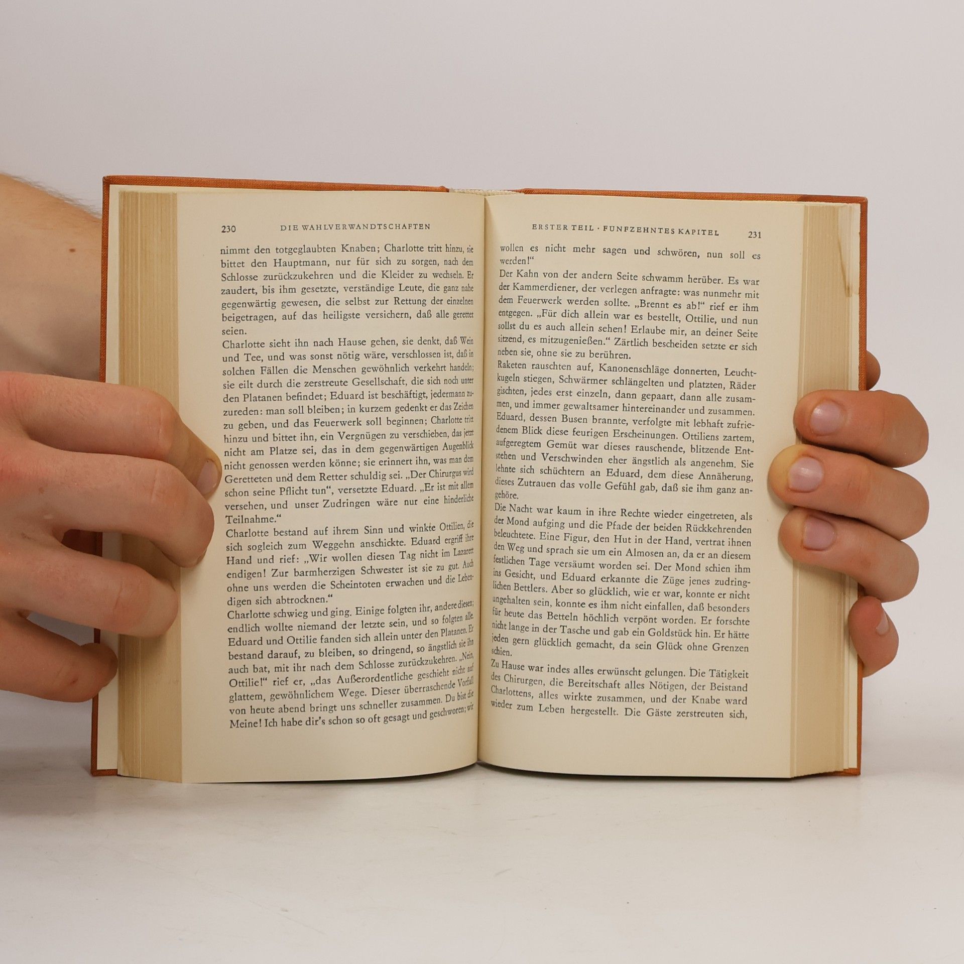 Johann Wolfgang von Goethe Goethes Werke 7