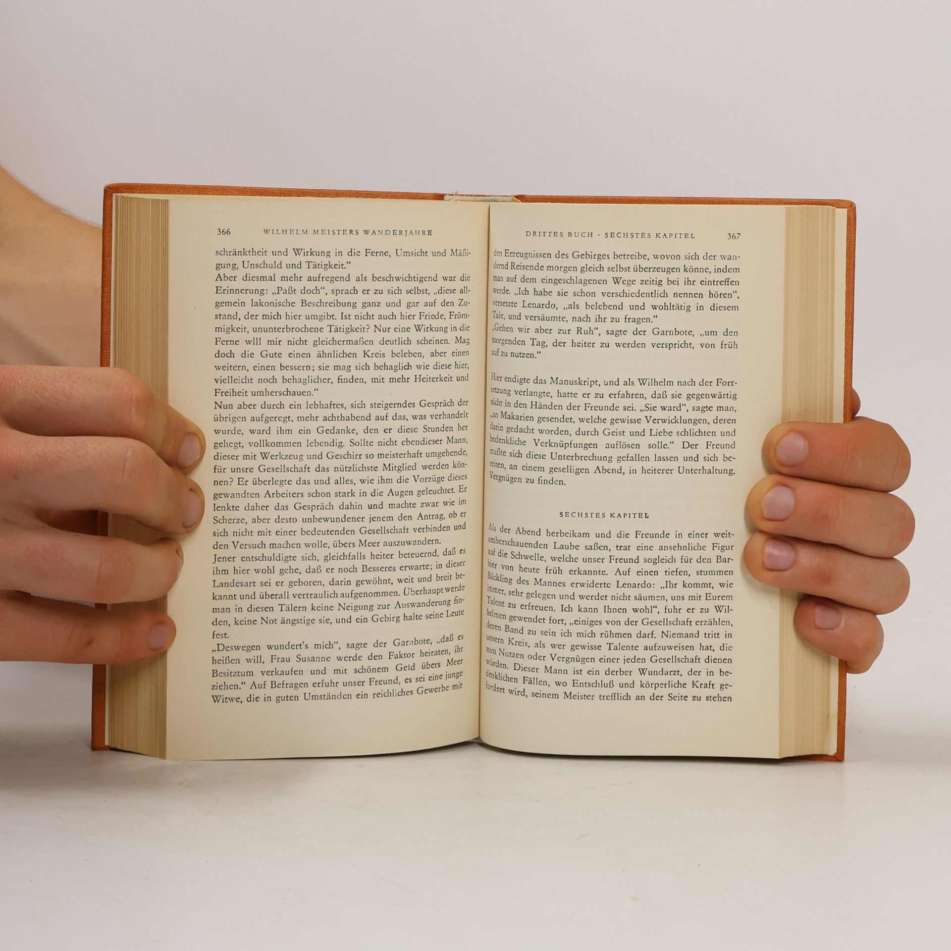 Johann Wolfgang von Goethe Goethes Werke 8