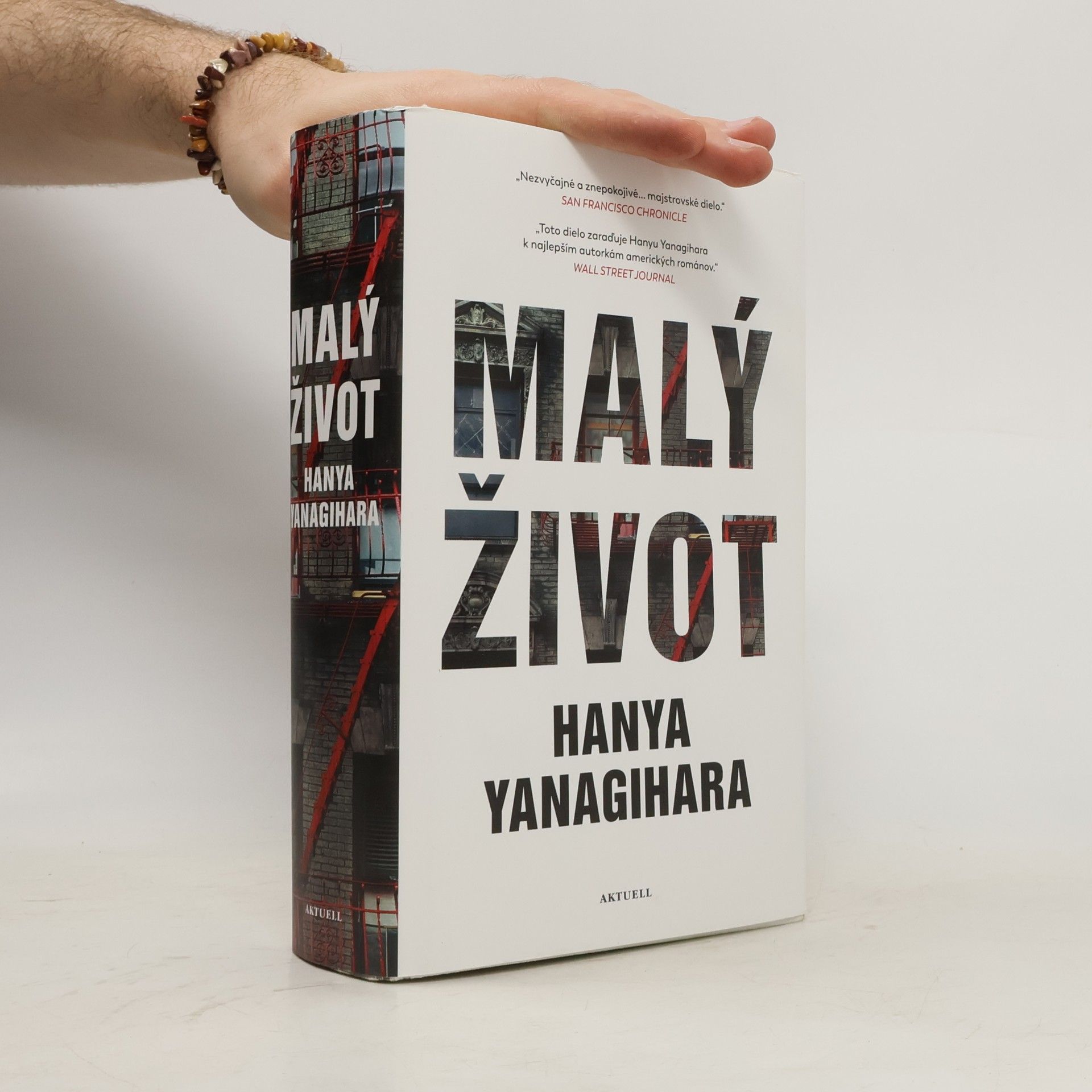 Hanya Yanagihara Malý život