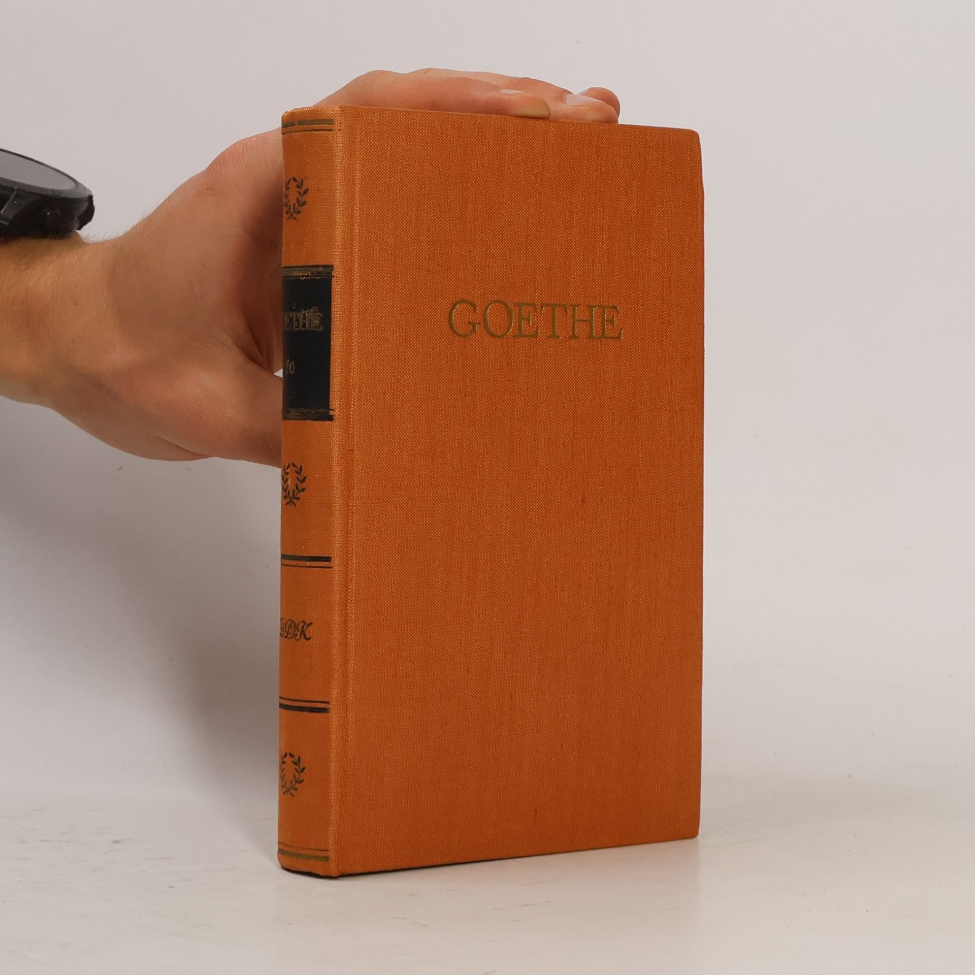 Johann Wolfgang von Goethe Goethes Verke 10
