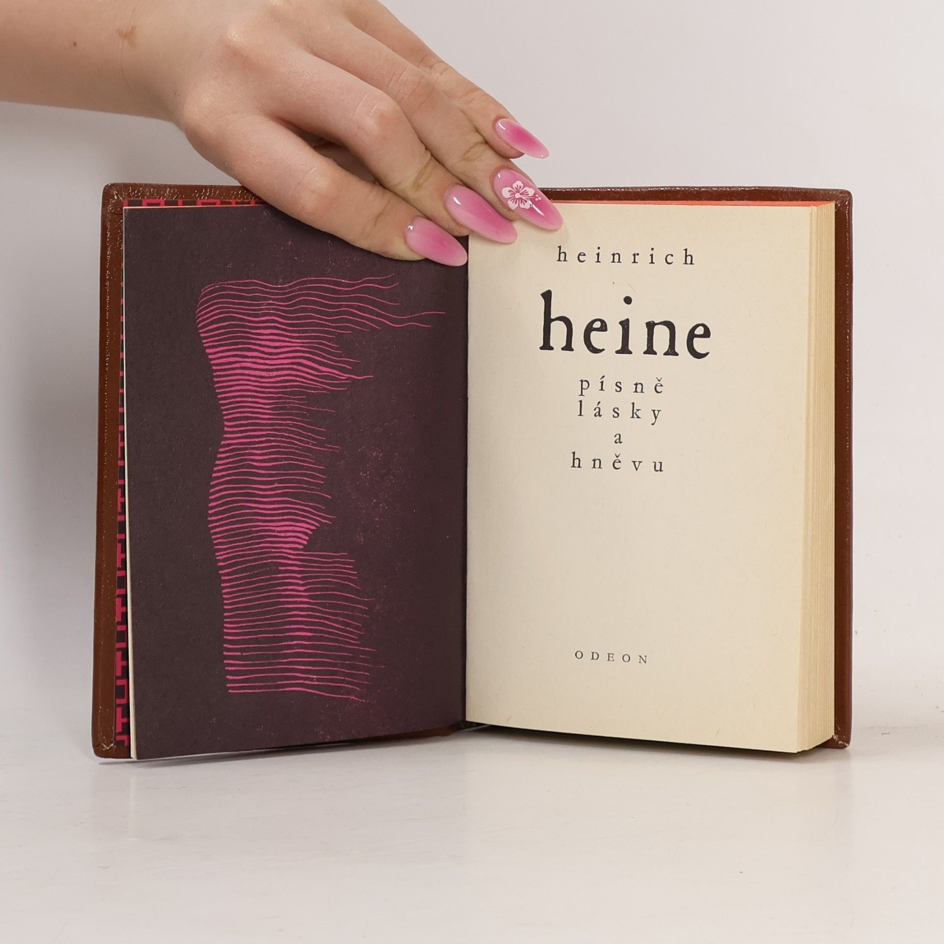 Heinrich Heine Písně lásky a hněvu