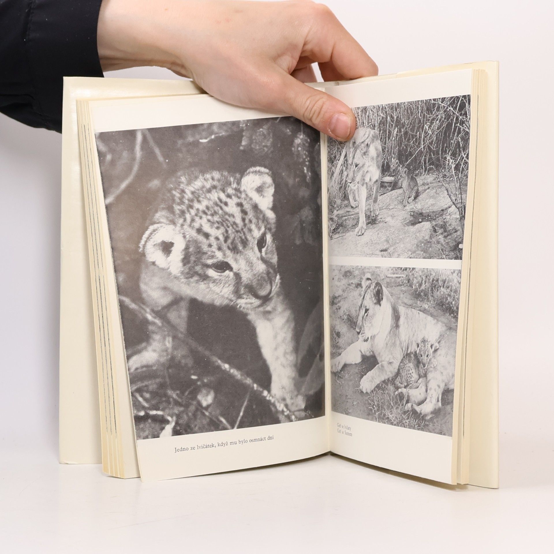 George Adamson Můj život se lvy
