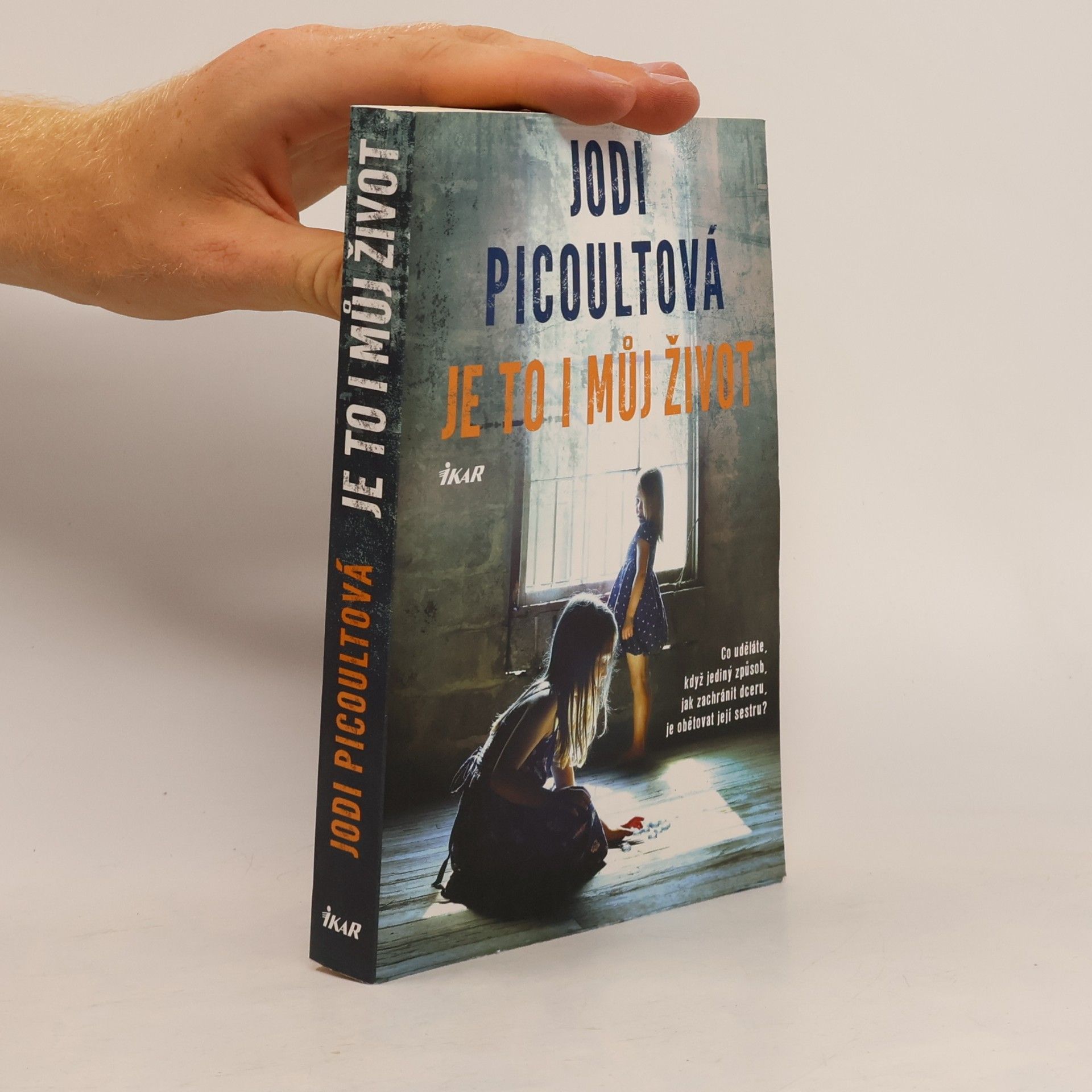 Jodi Picoult Je to i můj život