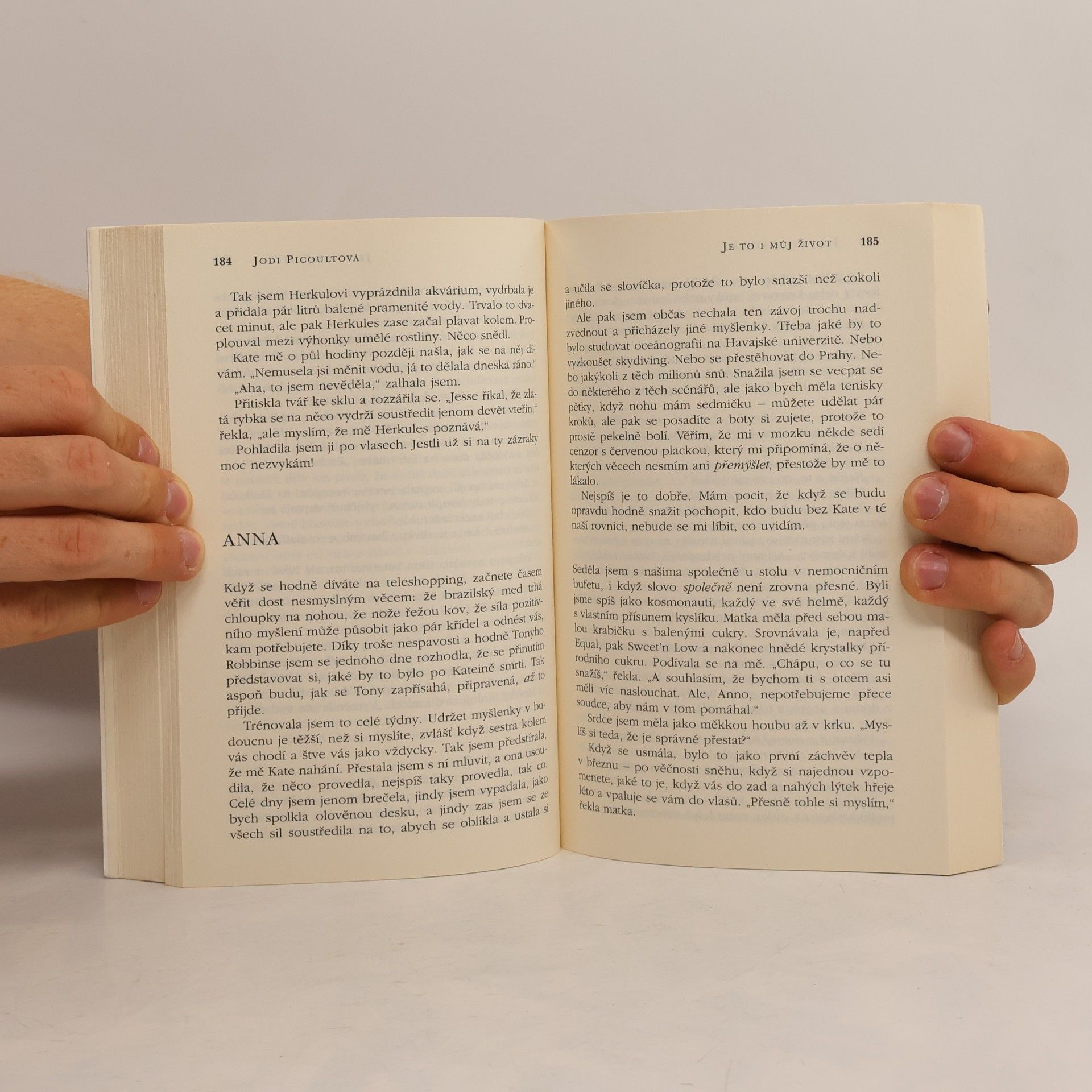 Jodi Picoult Je to i můj život