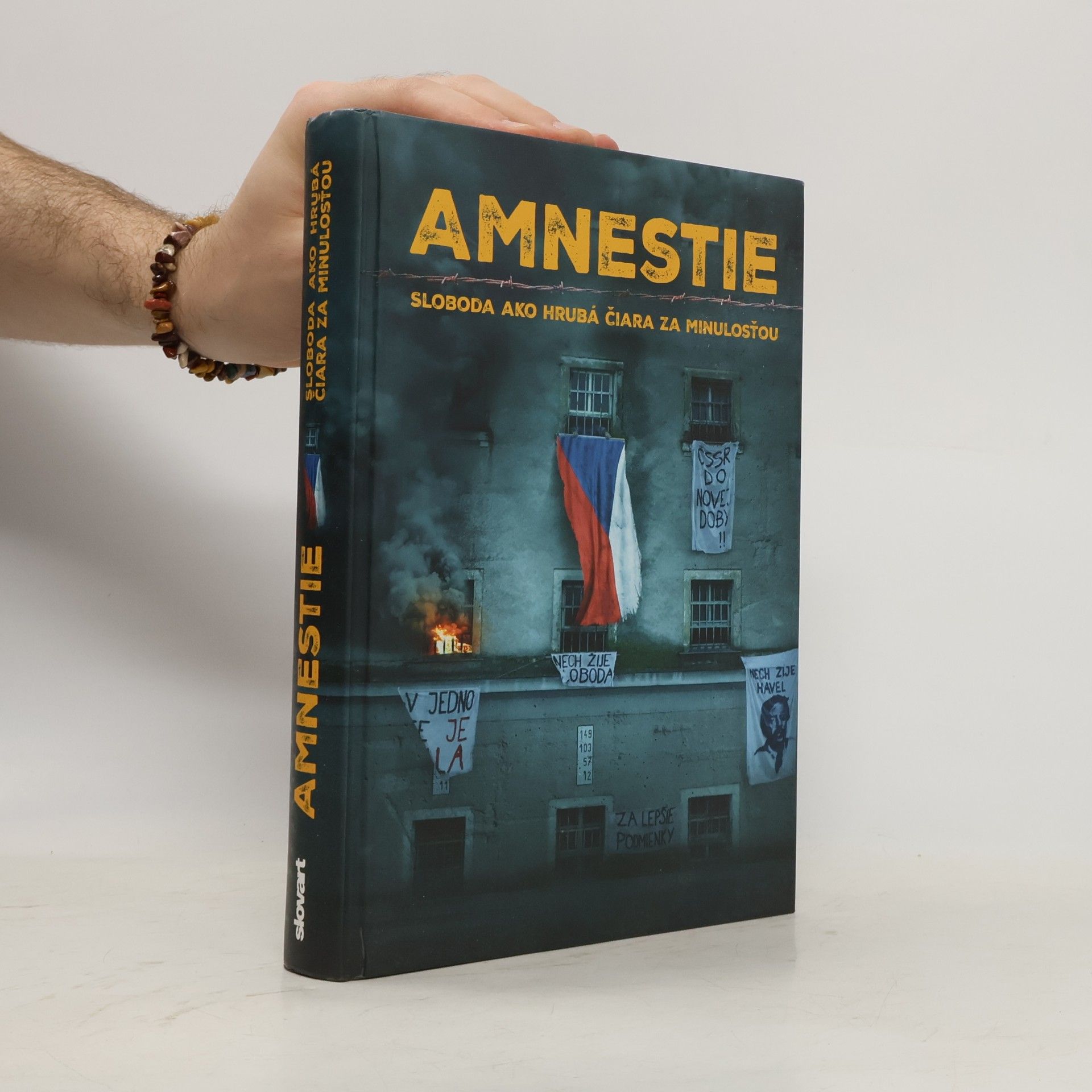 Autorenkollektiv Amnestie - Sloboda ako hrubá čiara za minulosťou