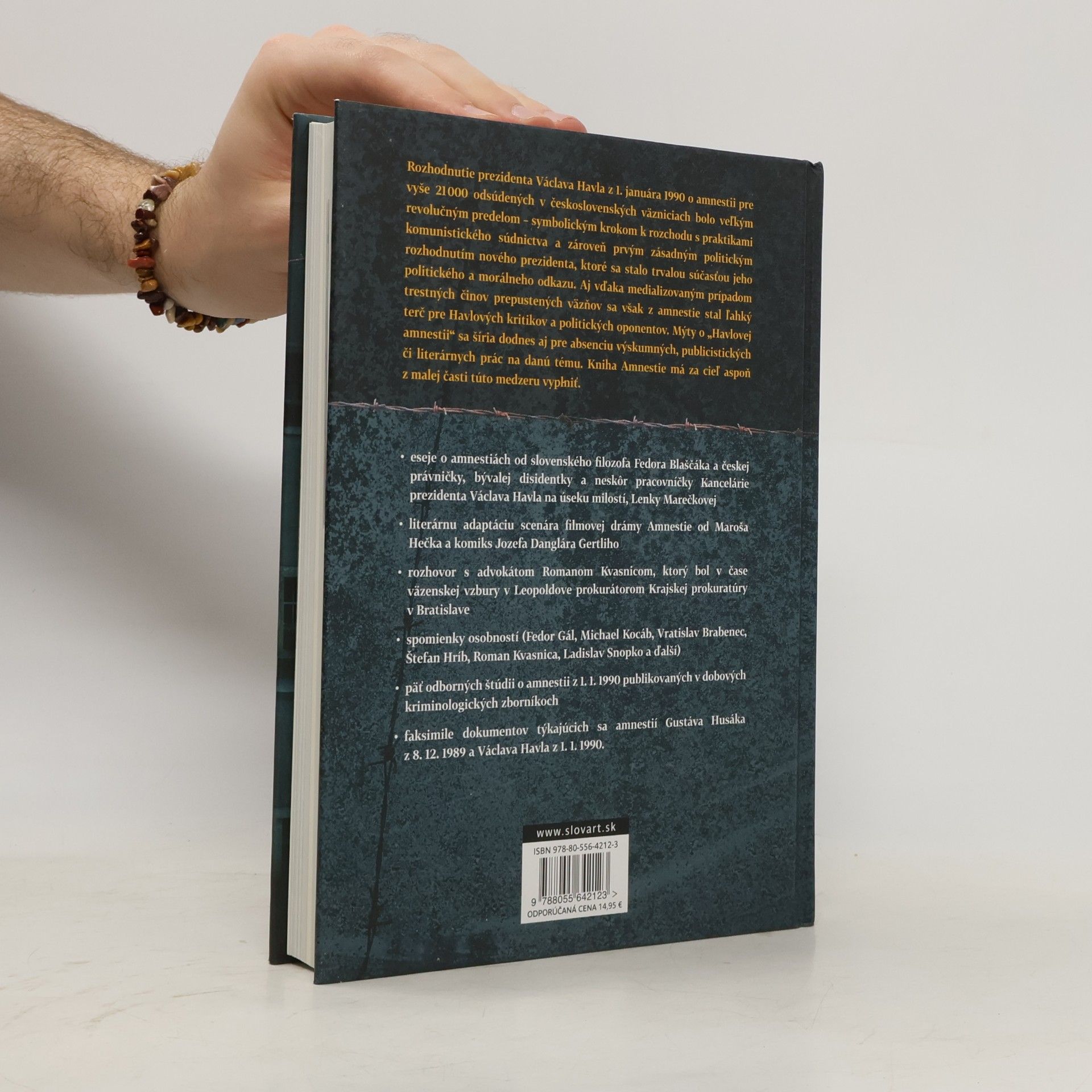 Autorenkollektiv Amnestie - Sloboda ako hrubá čiara za minulosťou