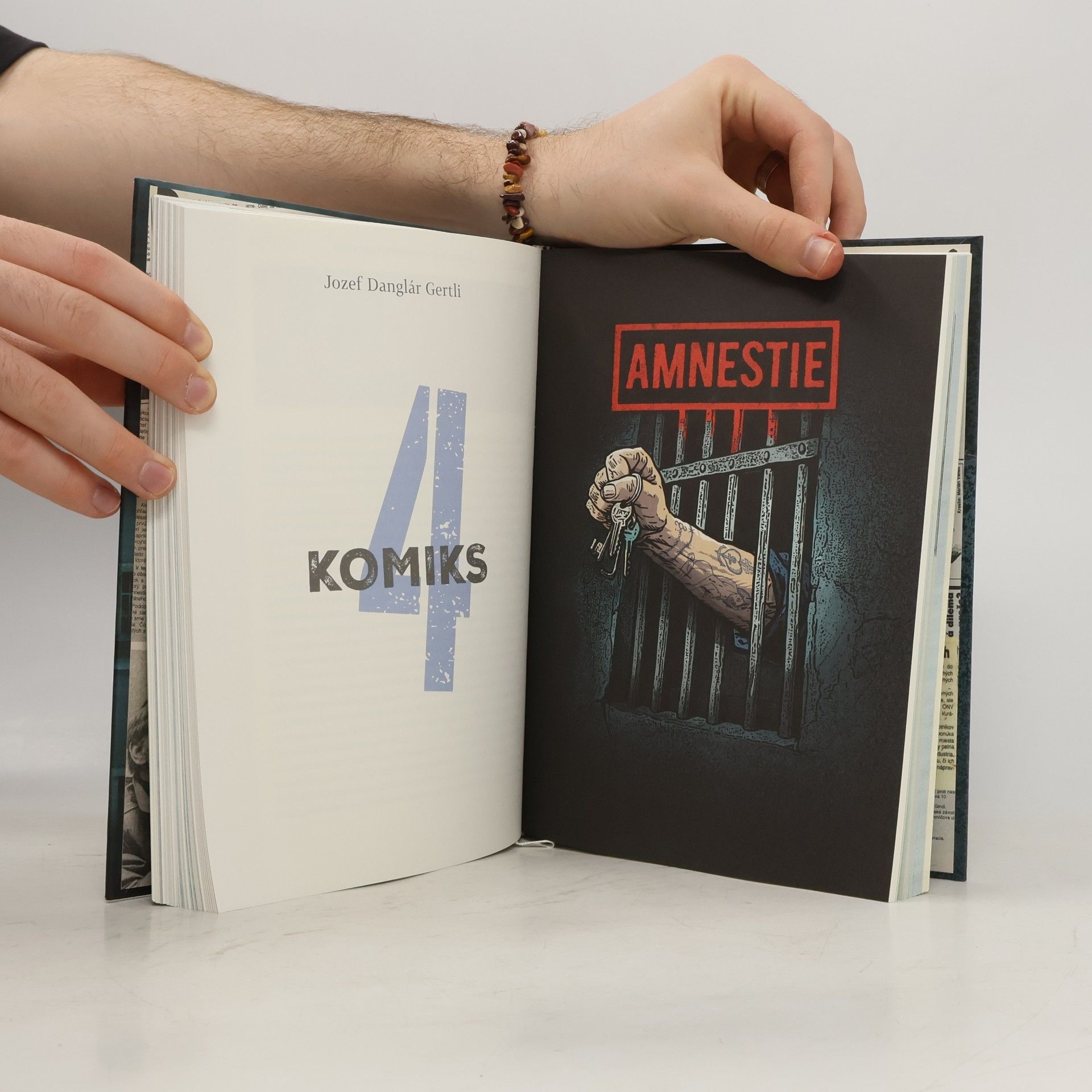 Autorenkollektiv Amnestie - Sloboda ako hrubá čiara za minulosťou