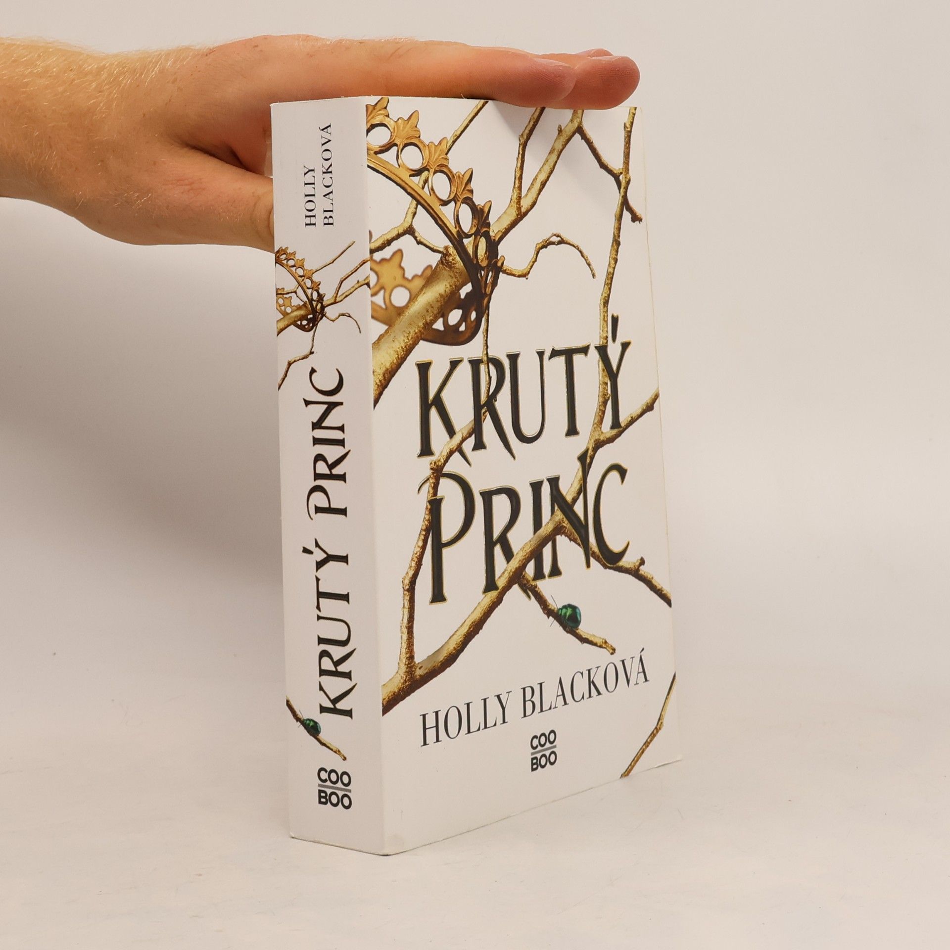 Holly Black Krutý princ