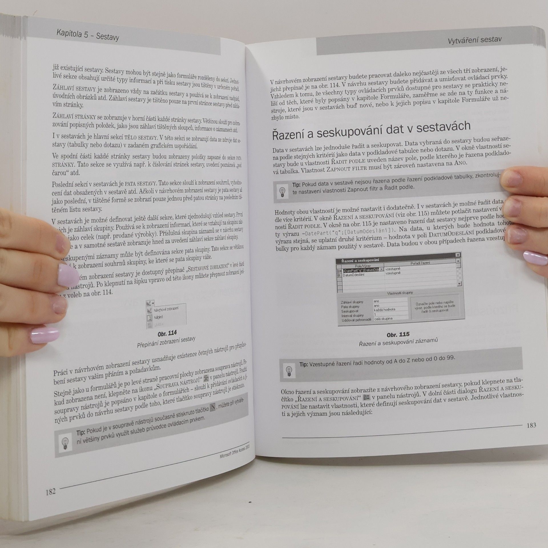 David Morkes Microsoft Office Access 2003. Podrobná uživatelská příručka