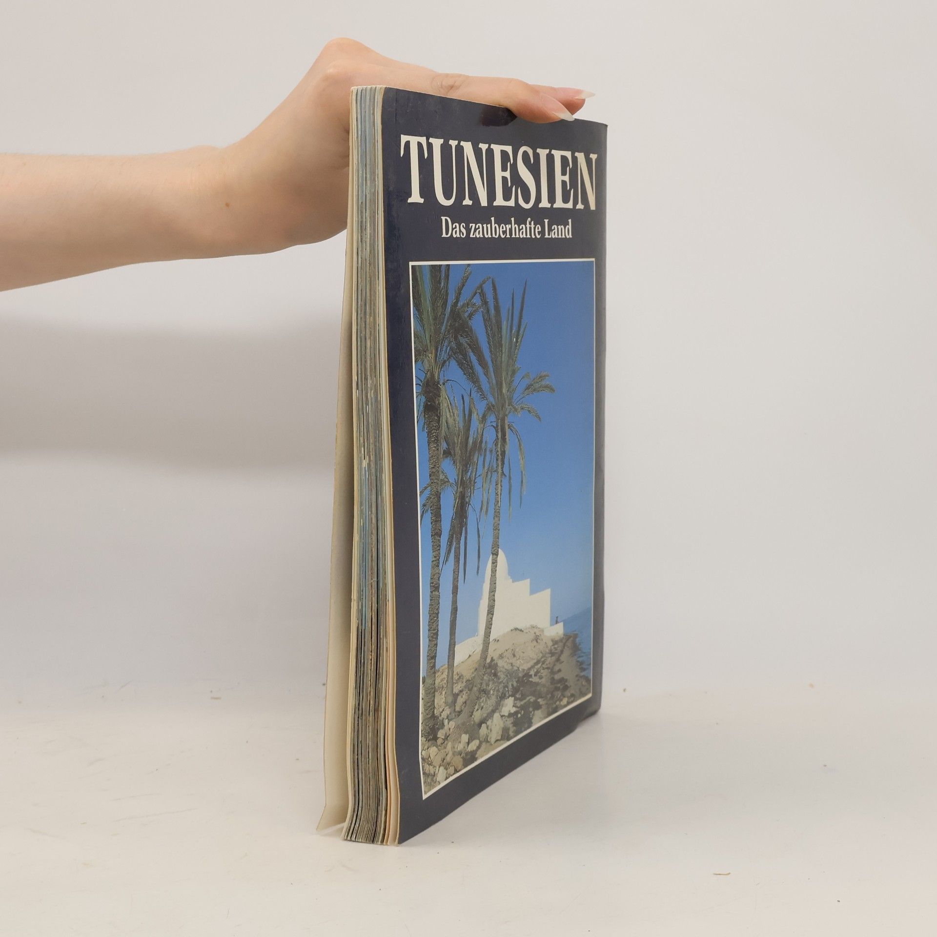 Various authors Tunesien. Das zauberhafte Land.
