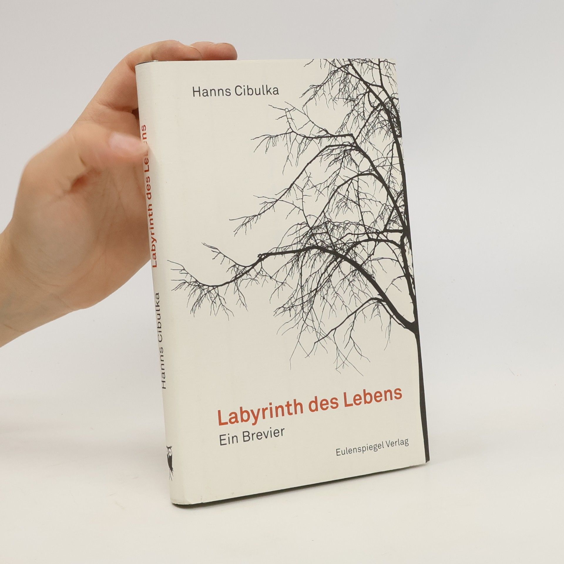 Hanns Cibulka Labyrinth des Lebens. Ein Brevier
