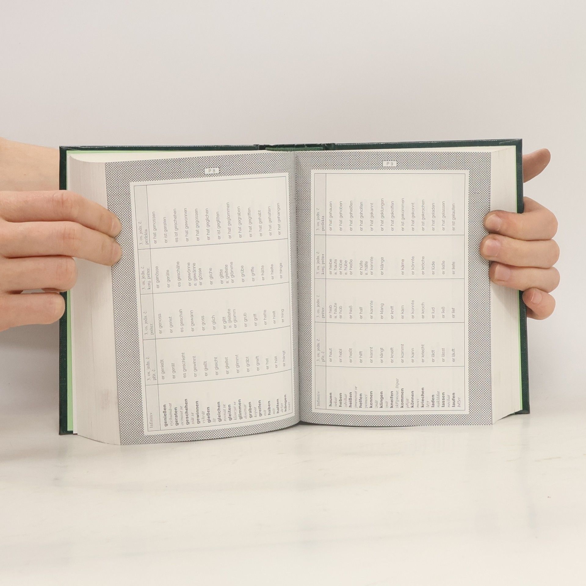 Various authors Německo-český. Česko-německý slovník