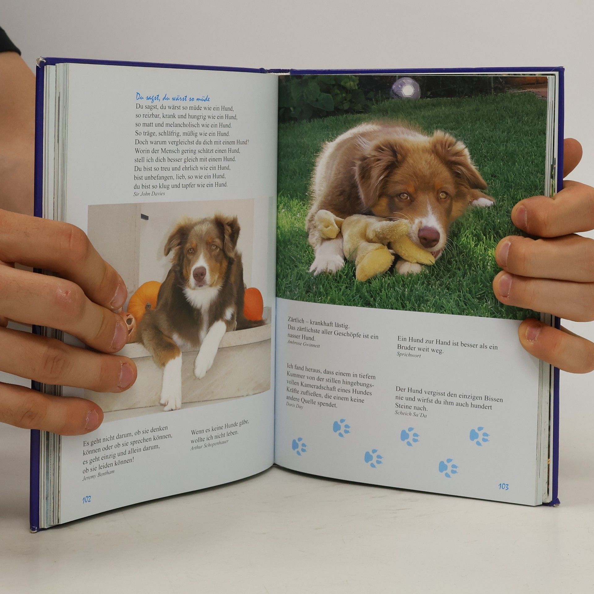 Autorenkollektiv Ein Lesebuch für Hundefreunde