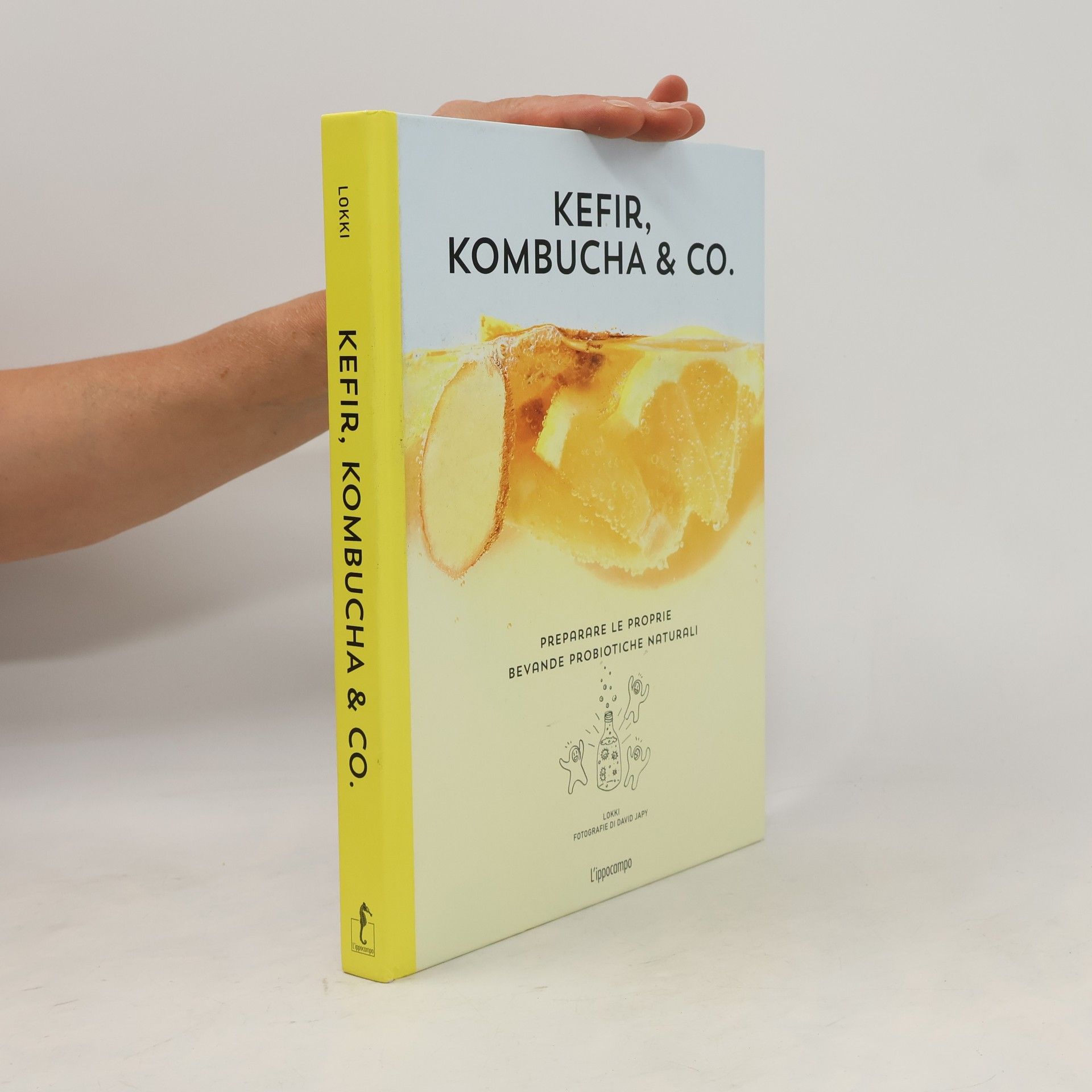 Kefir, kombucha & Co. Preparare le proprie bevande probiotiche naturali