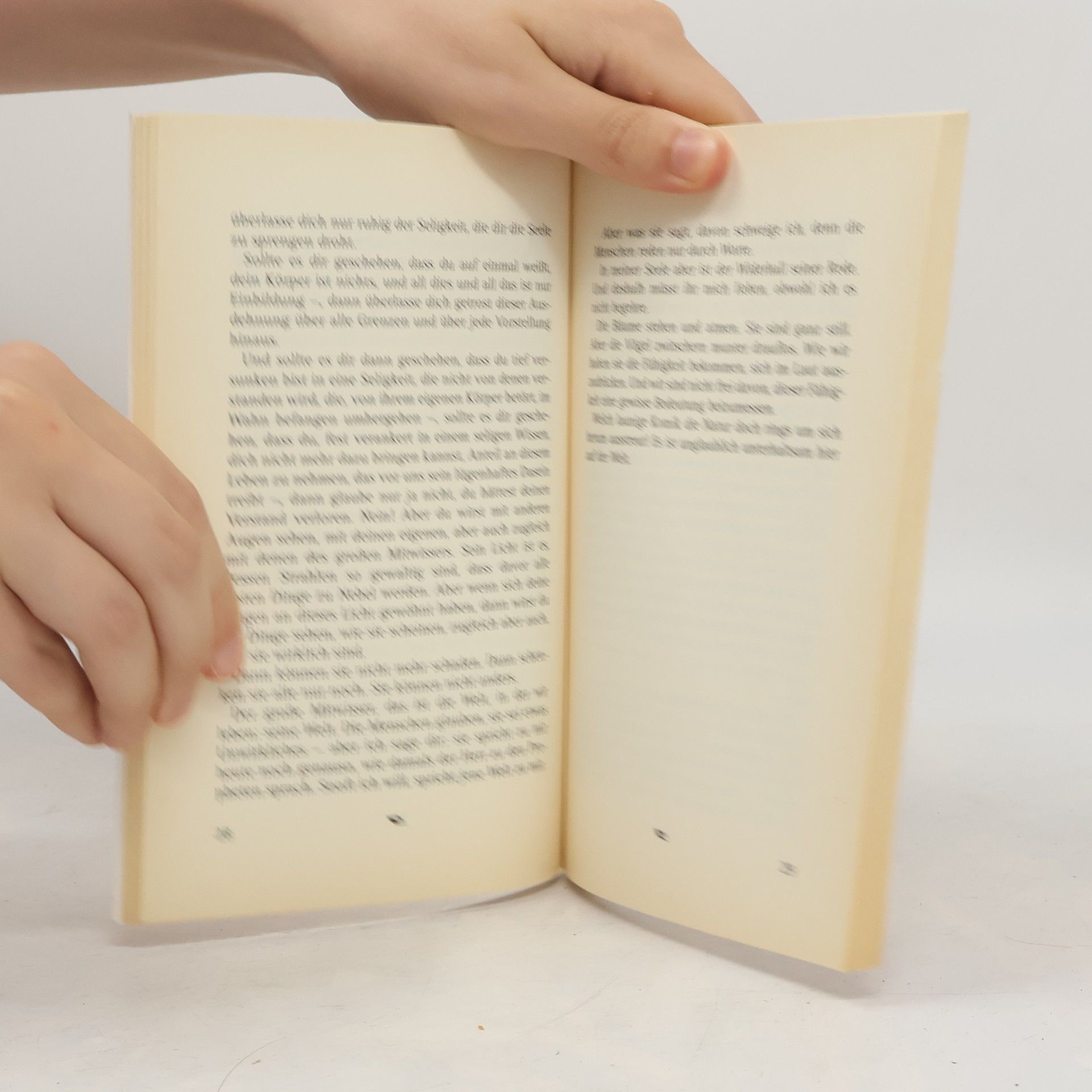 Johannes Anker Larsen Der Kandidat. Zwei Novellen