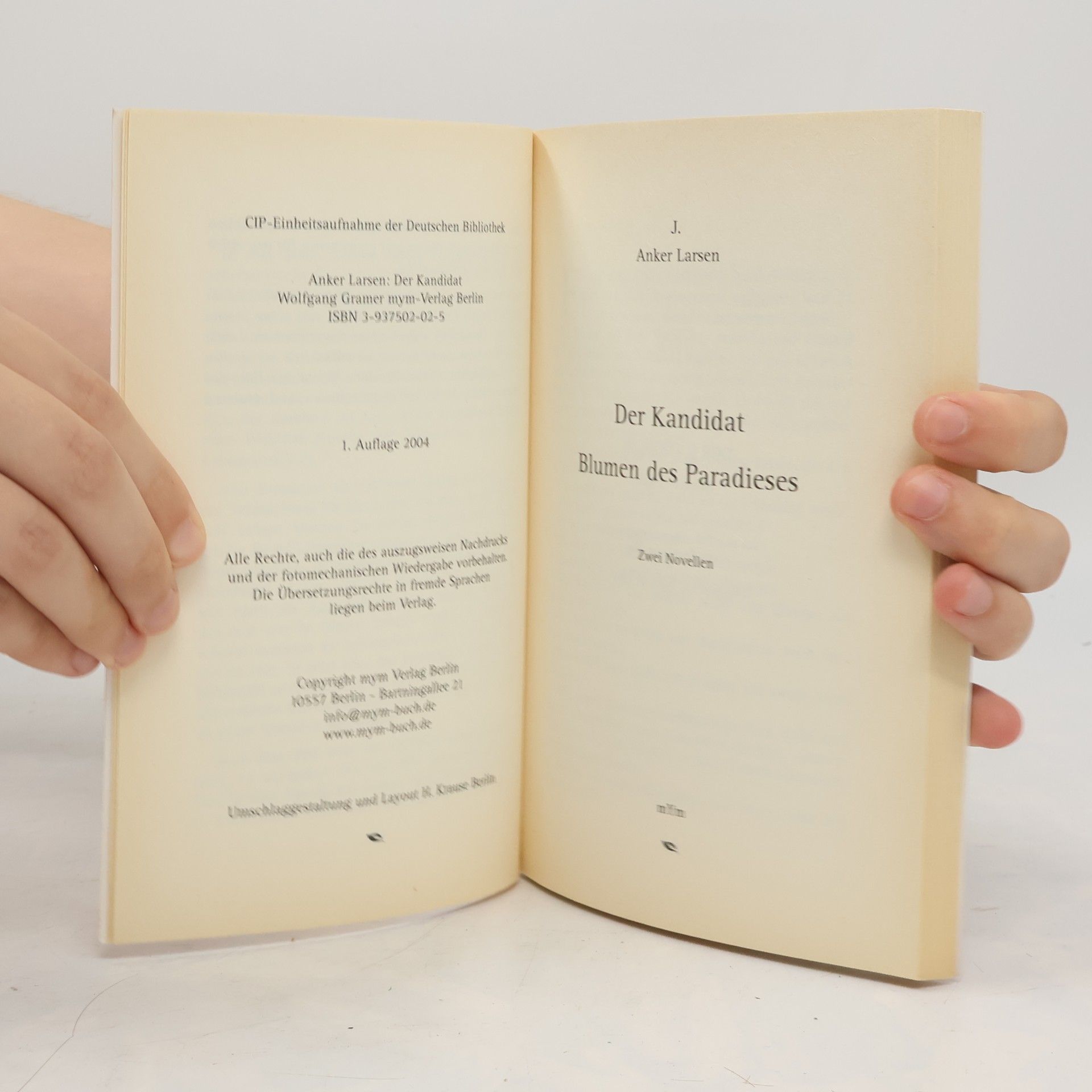Johannes Anker Larsen Der Kandidat. Zwei Novellen