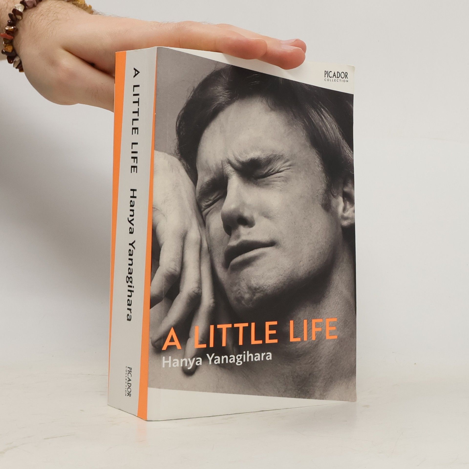 Hanya Yanagihara A Little Life