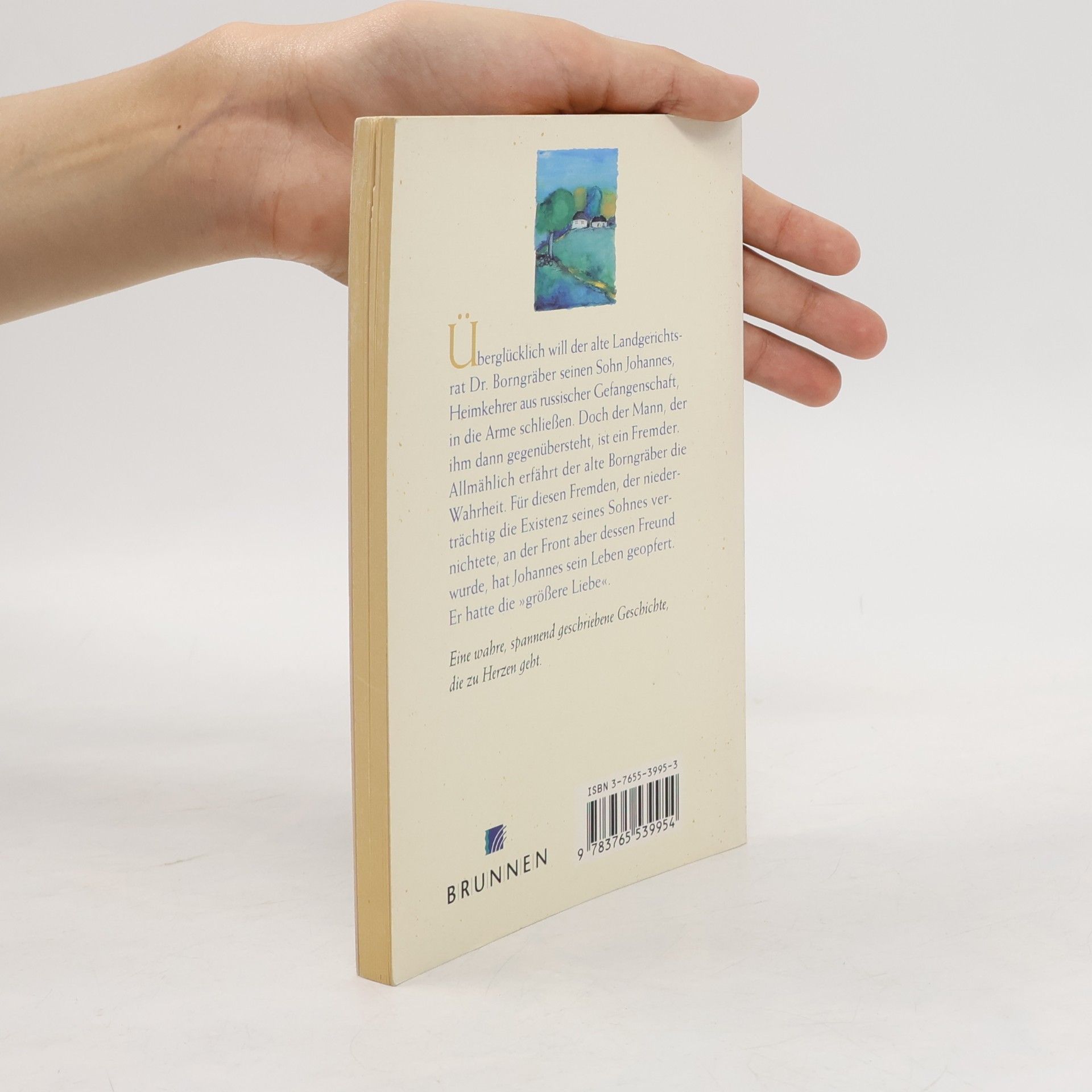 Walter Nenzel ABCteam-Taschenbücher: Die grössere Liebe