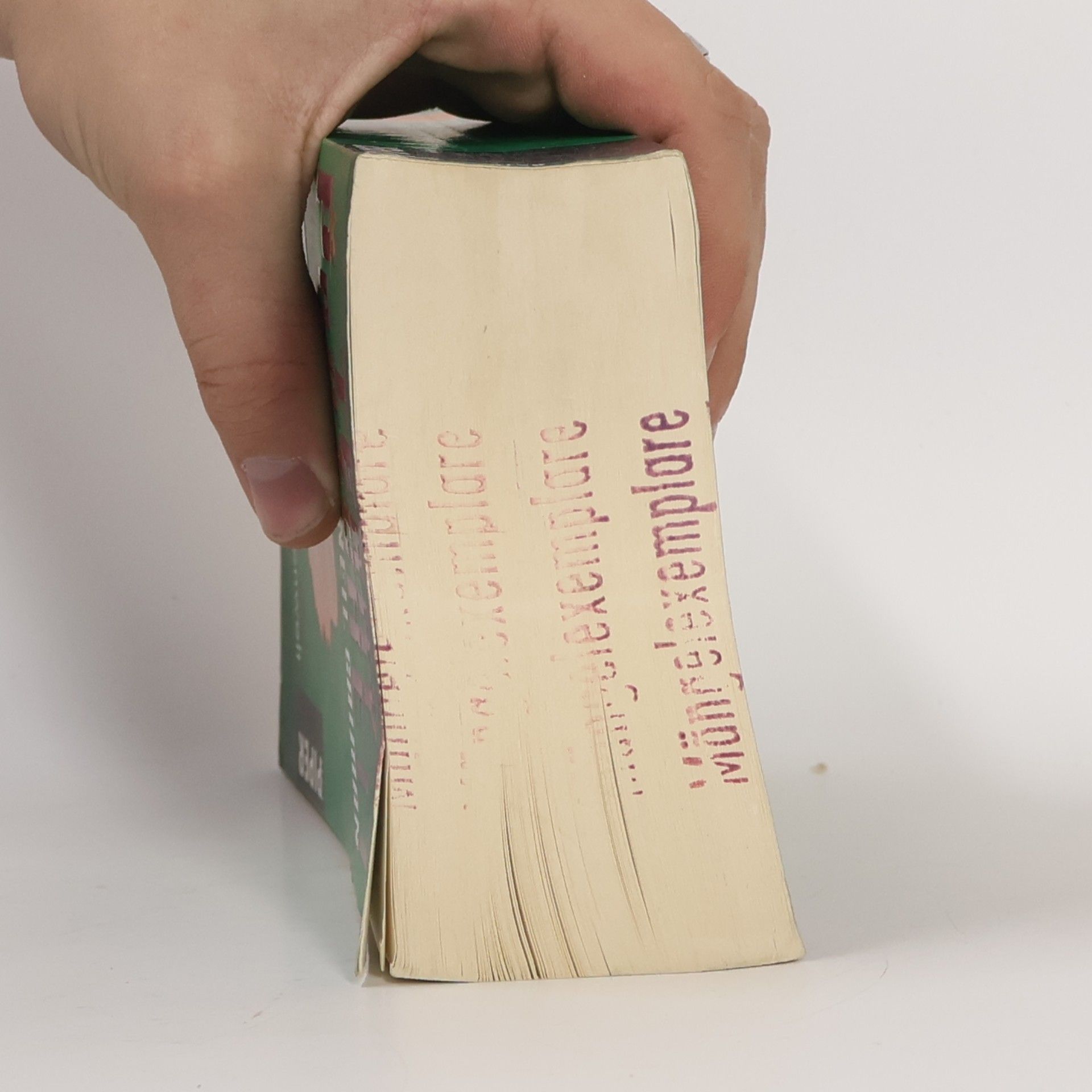 Terry Pratchett Die Magie der Scheibenwelt