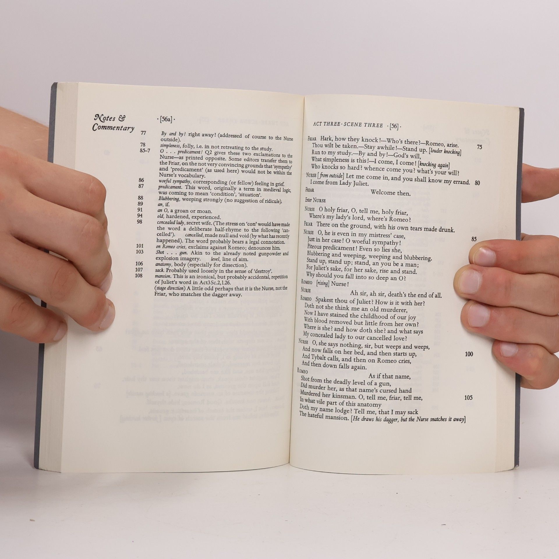 William Shakespeare Romeo and Juliet - The Student's Shakespeare: With Notes, Characters, Plot and Exam Themes