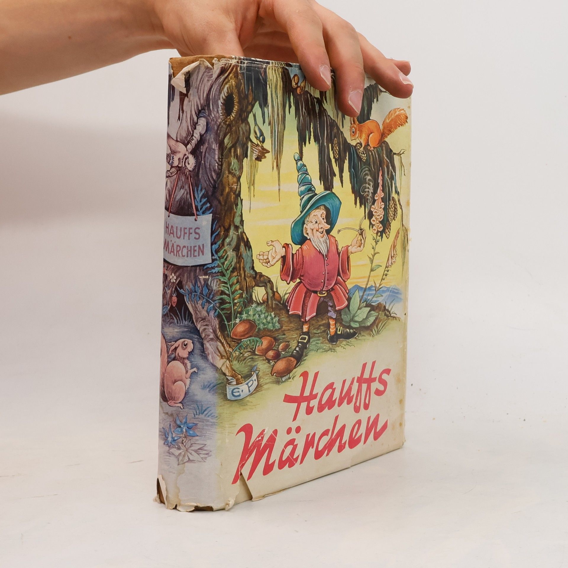 Autores varios Hauffs Märchen