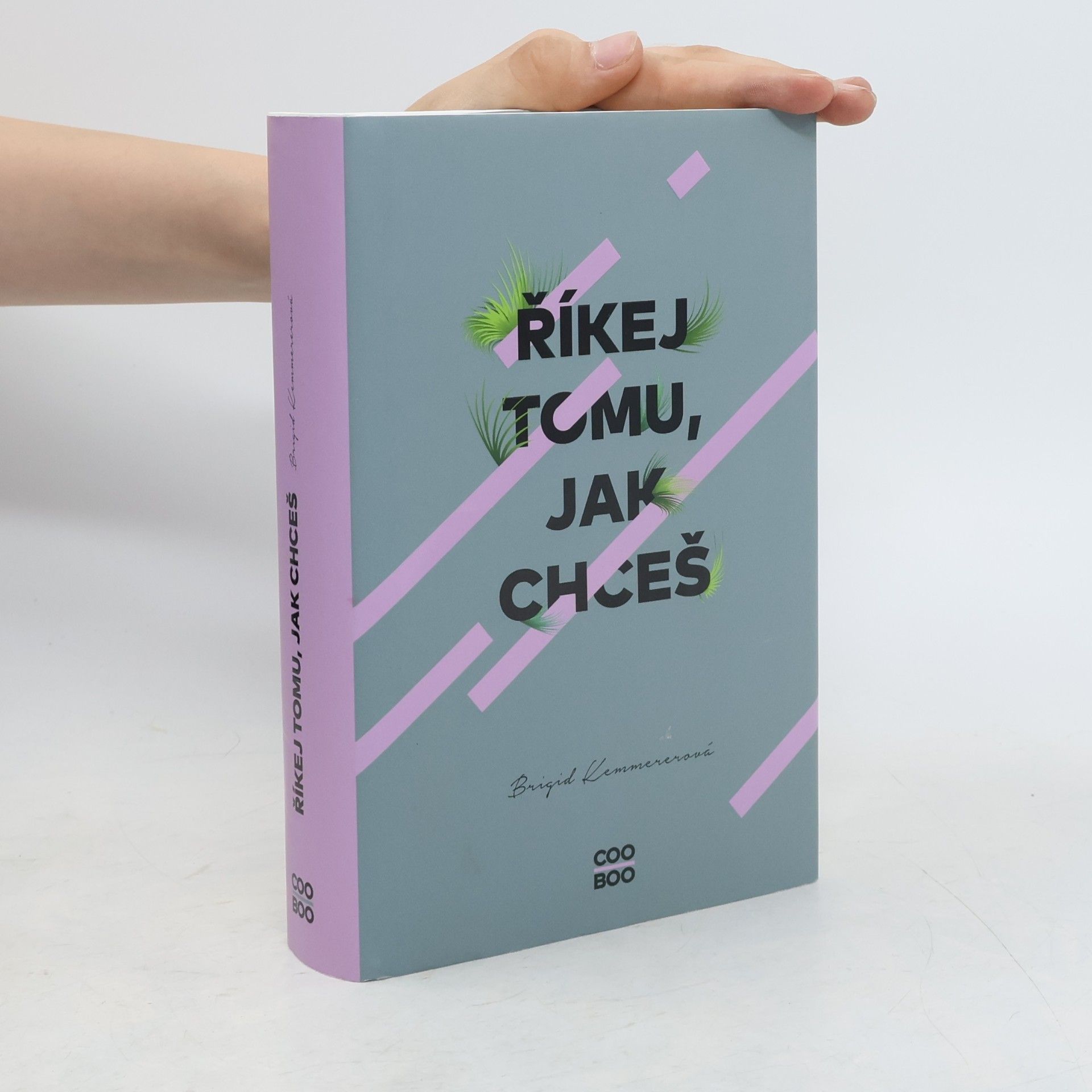 Brigid Kemmerer Říkej tomu, jak chceš