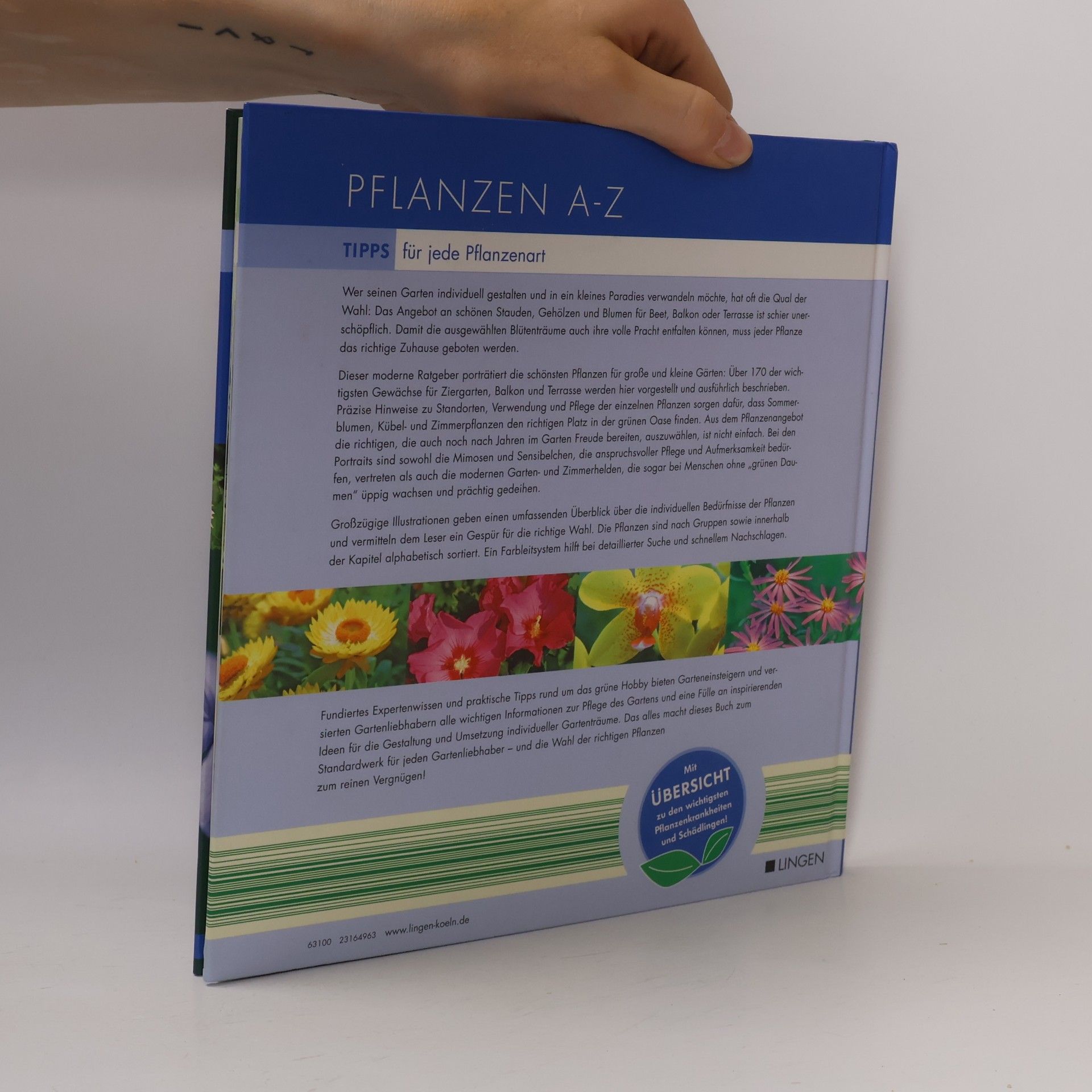 Autorenkollektiv Pflanzen A-Z