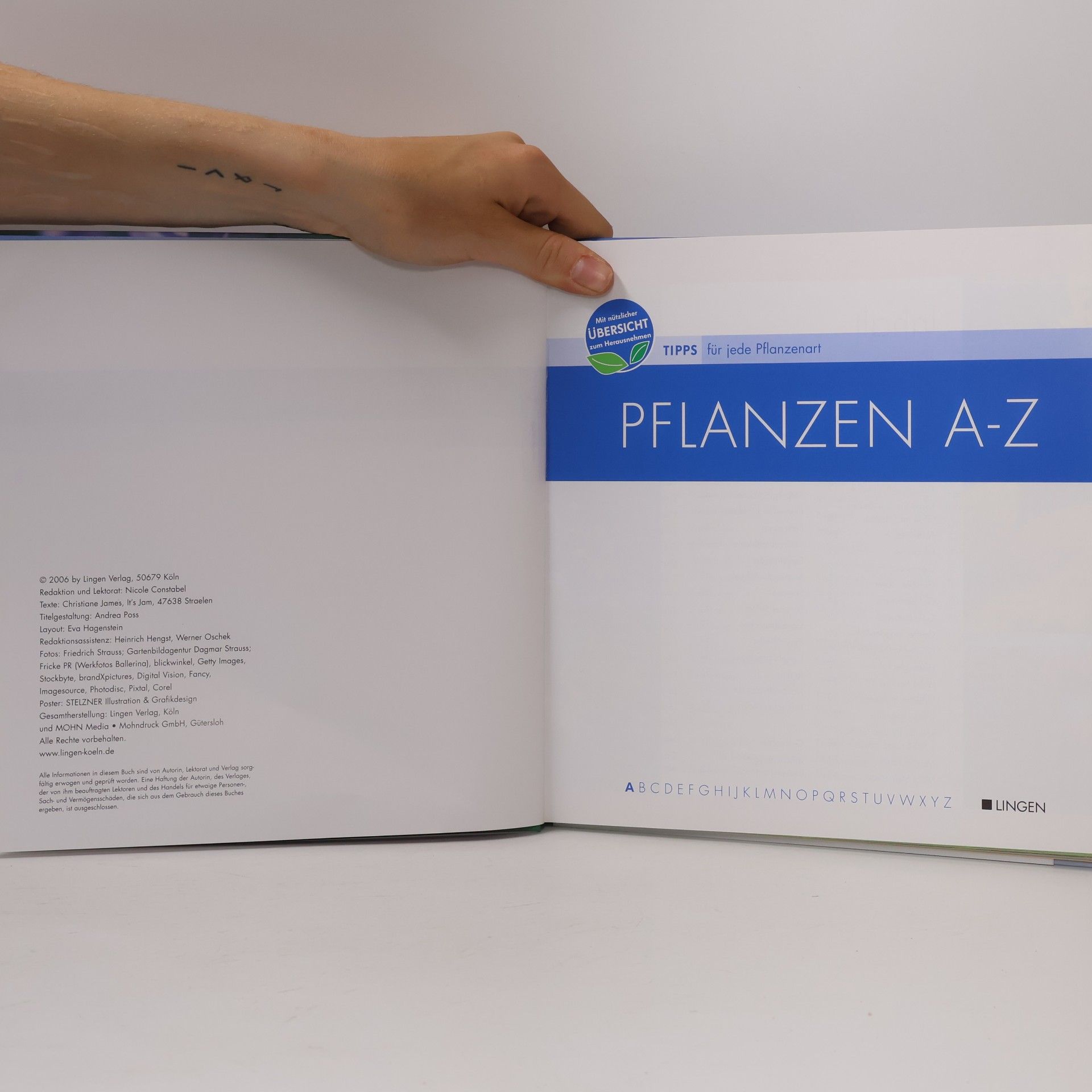 Autorenkollektiv Pflanzen A-Z