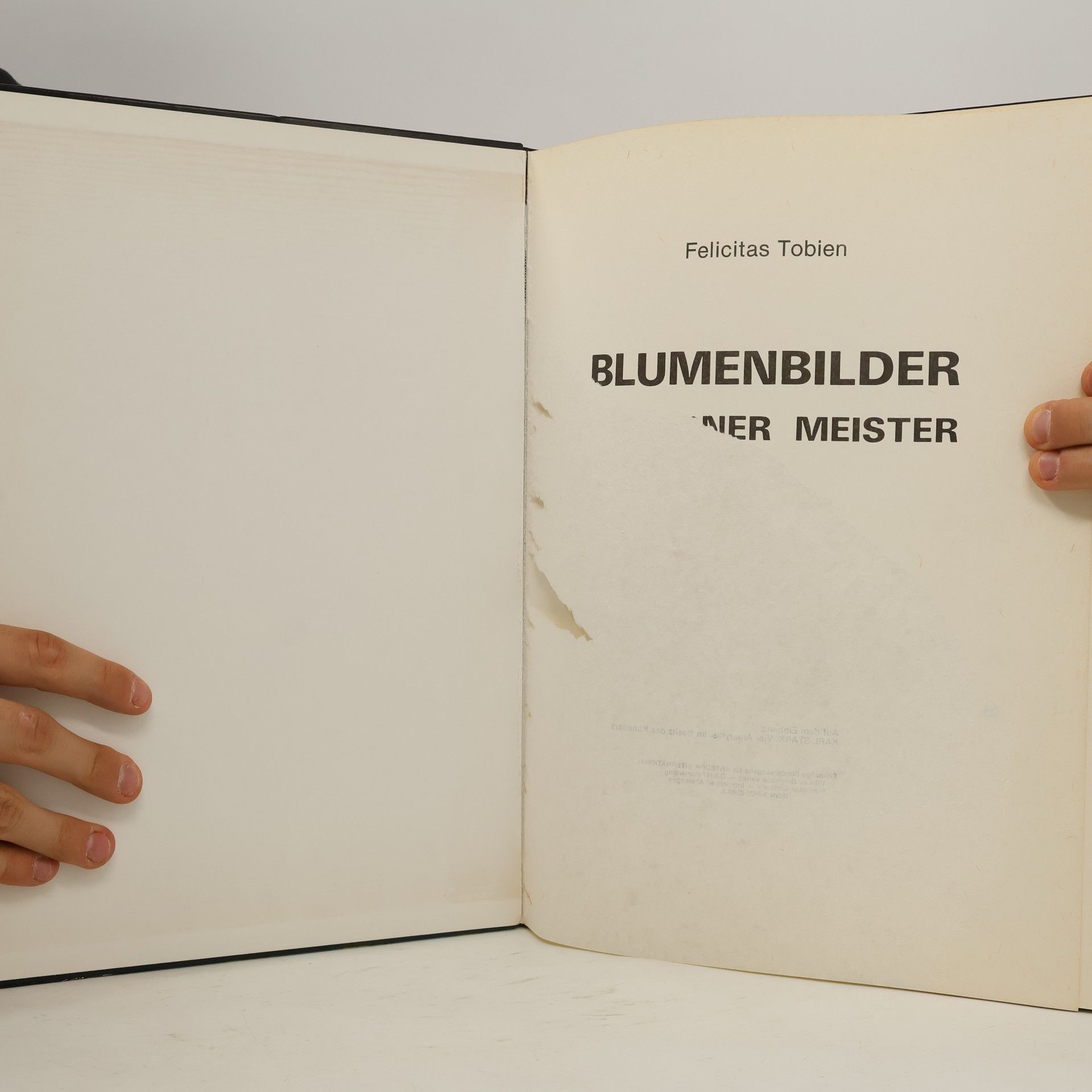 Felicitas Tobien Blumenbilder moderner Meister